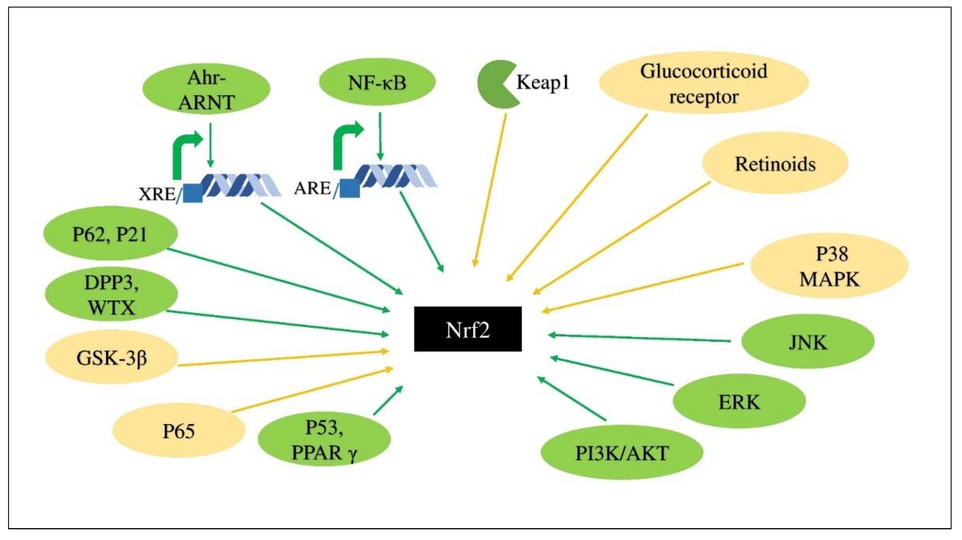 Applsci 11 10806 g004 550