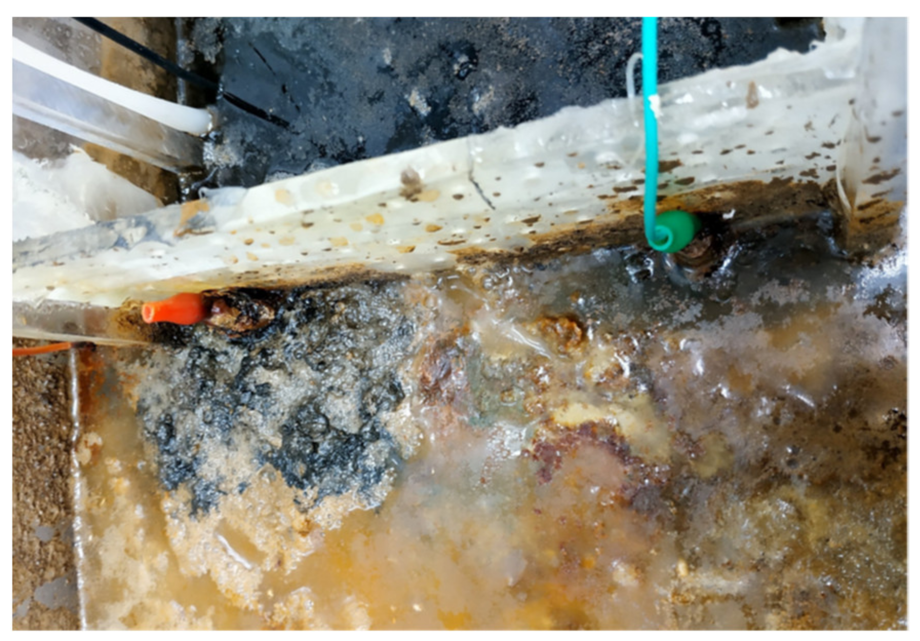 Applsci 11 10817 g015