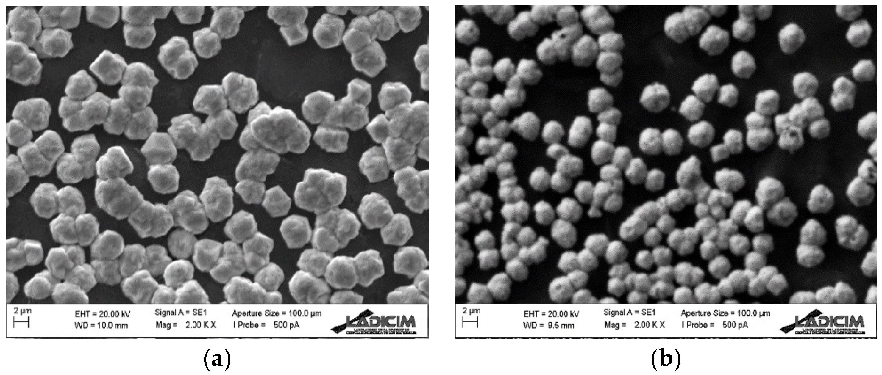 Applsci 11 10830 g003 550