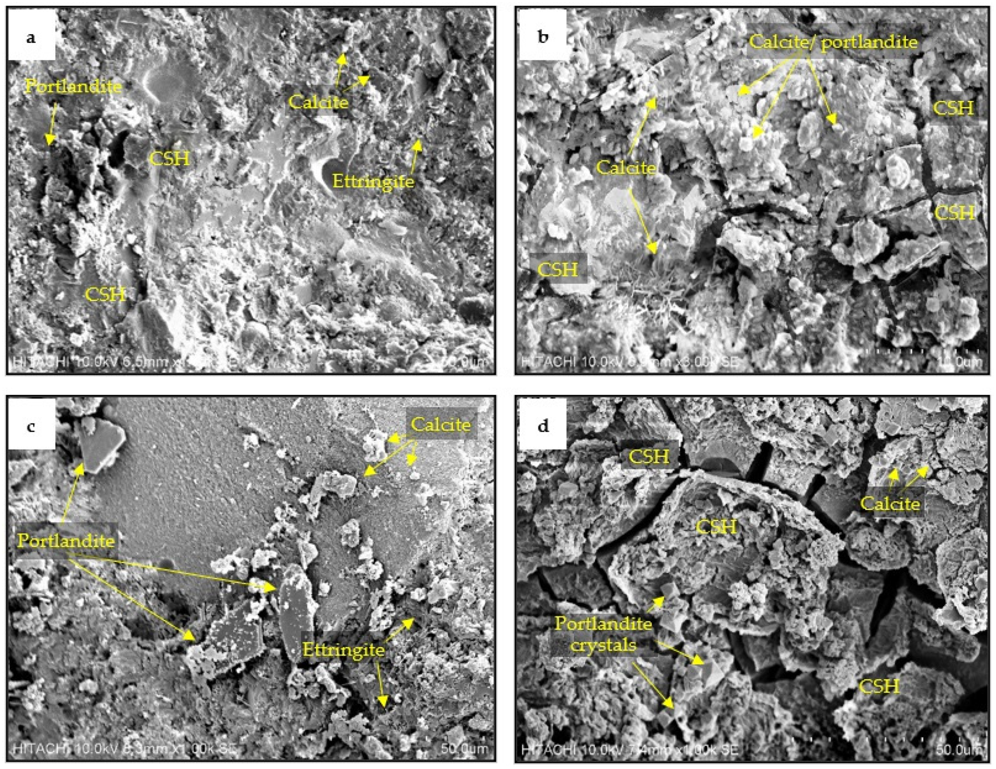 Applsci 11 10847 g013