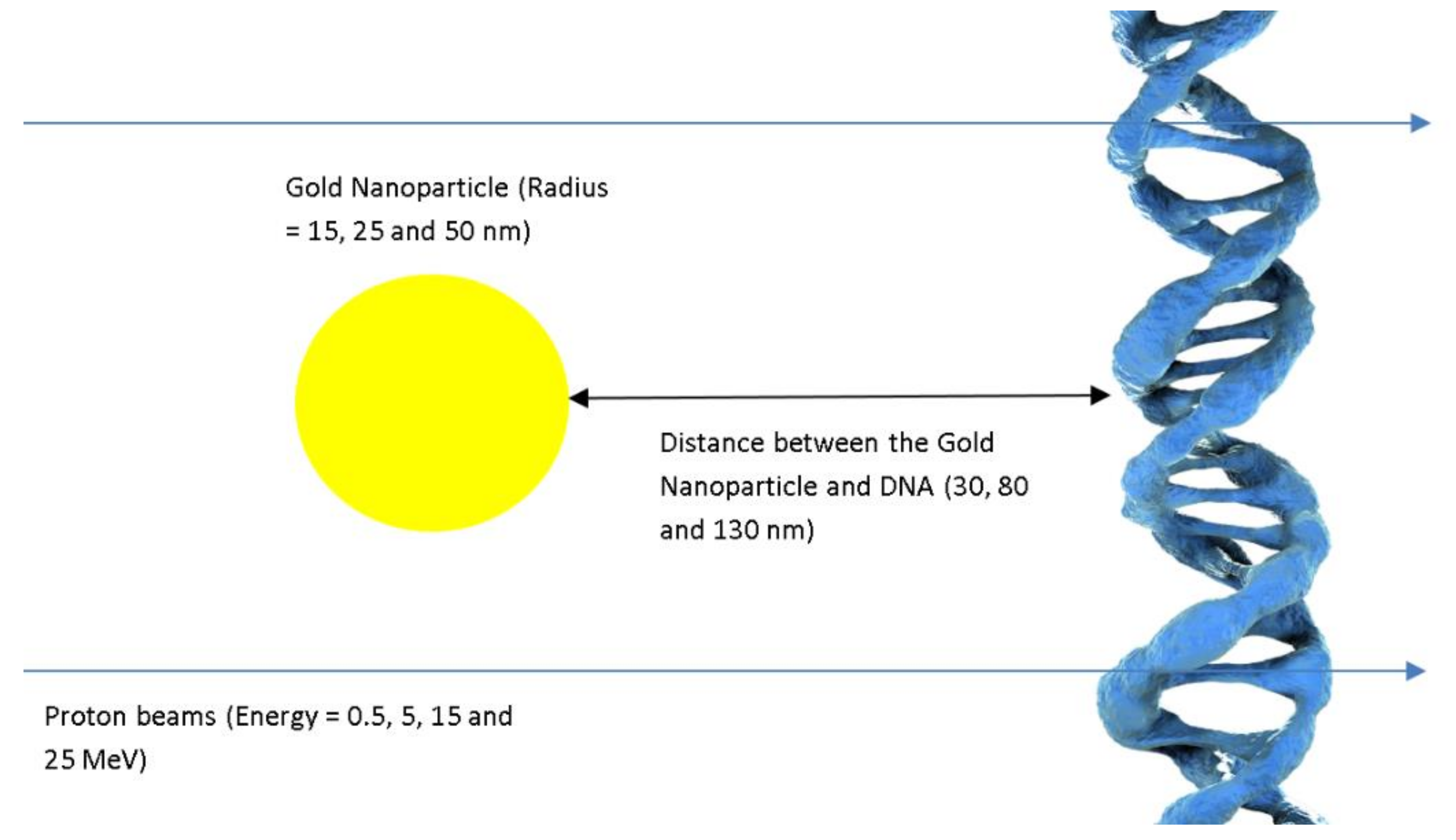 Applsci 11 10856 g001 550