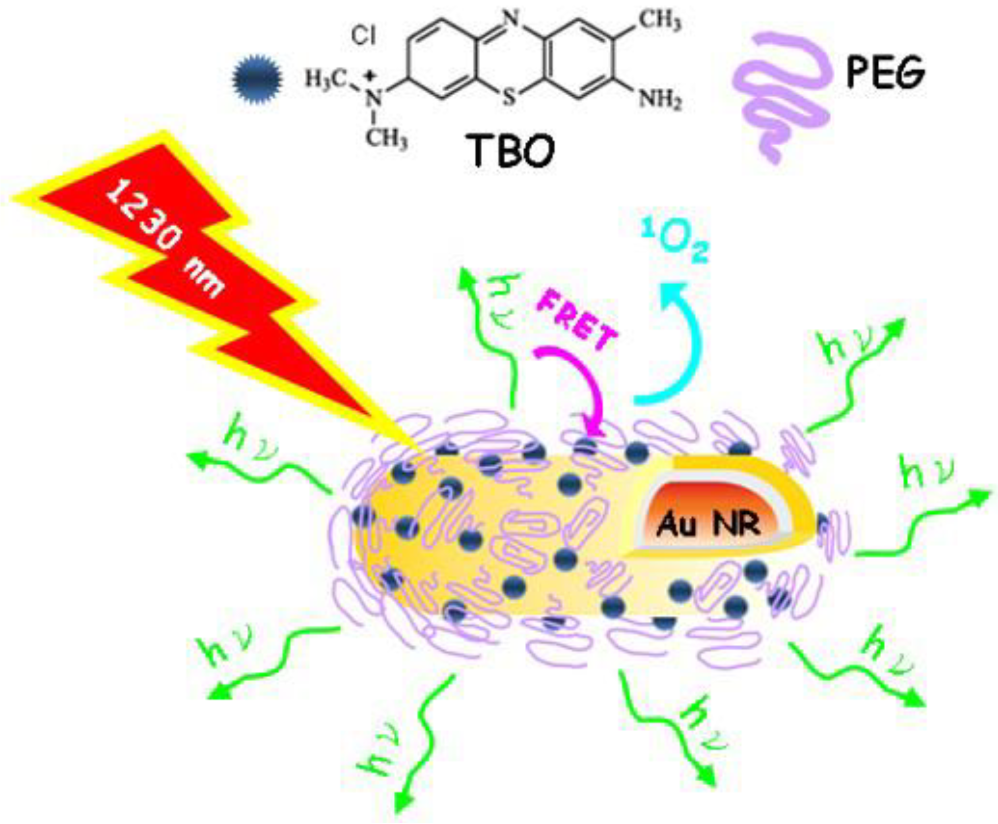Applsci 11 10875 g001