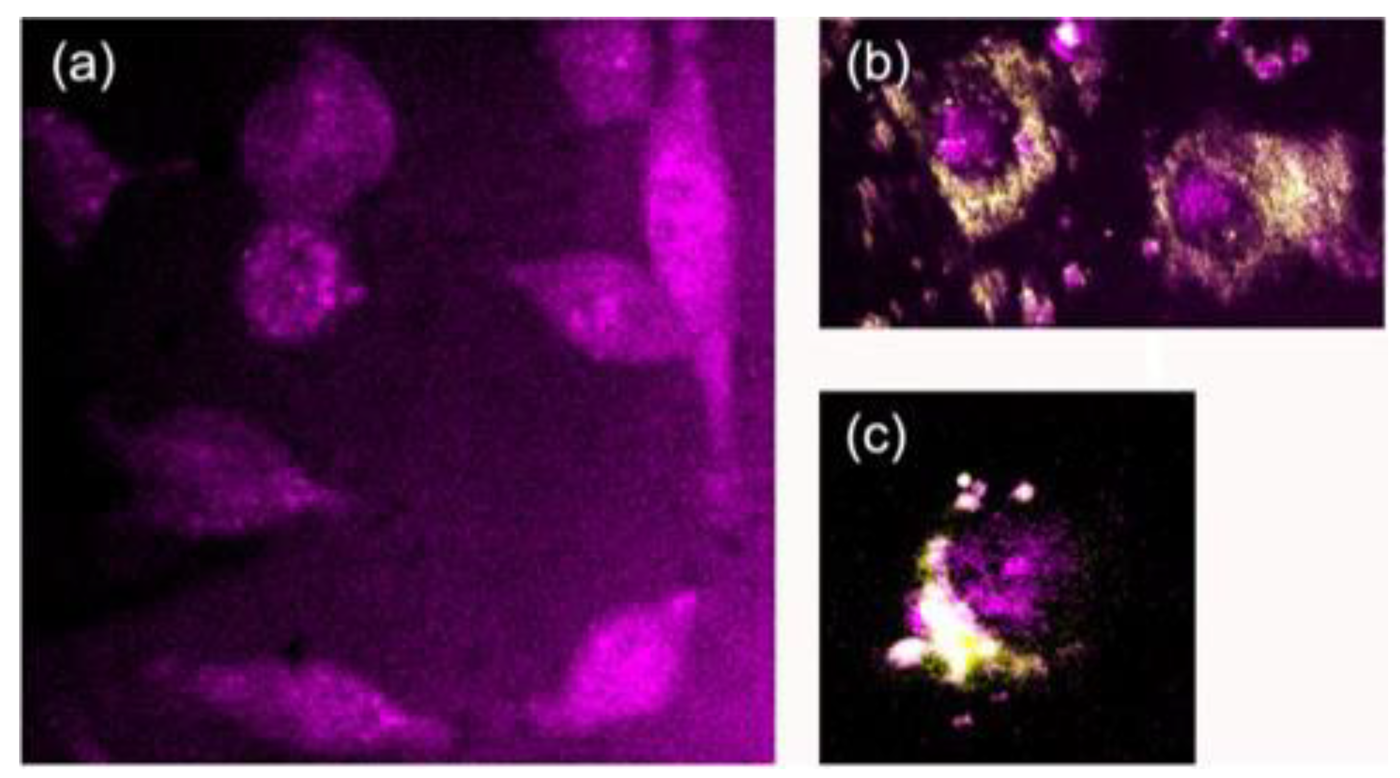 Applsci 11 10875 g007