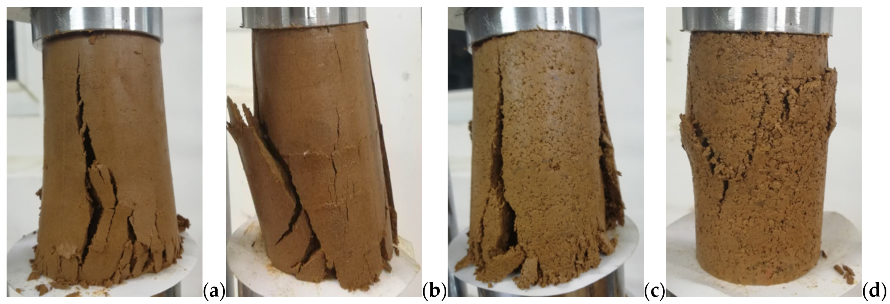 Applsci 11 10887 g007