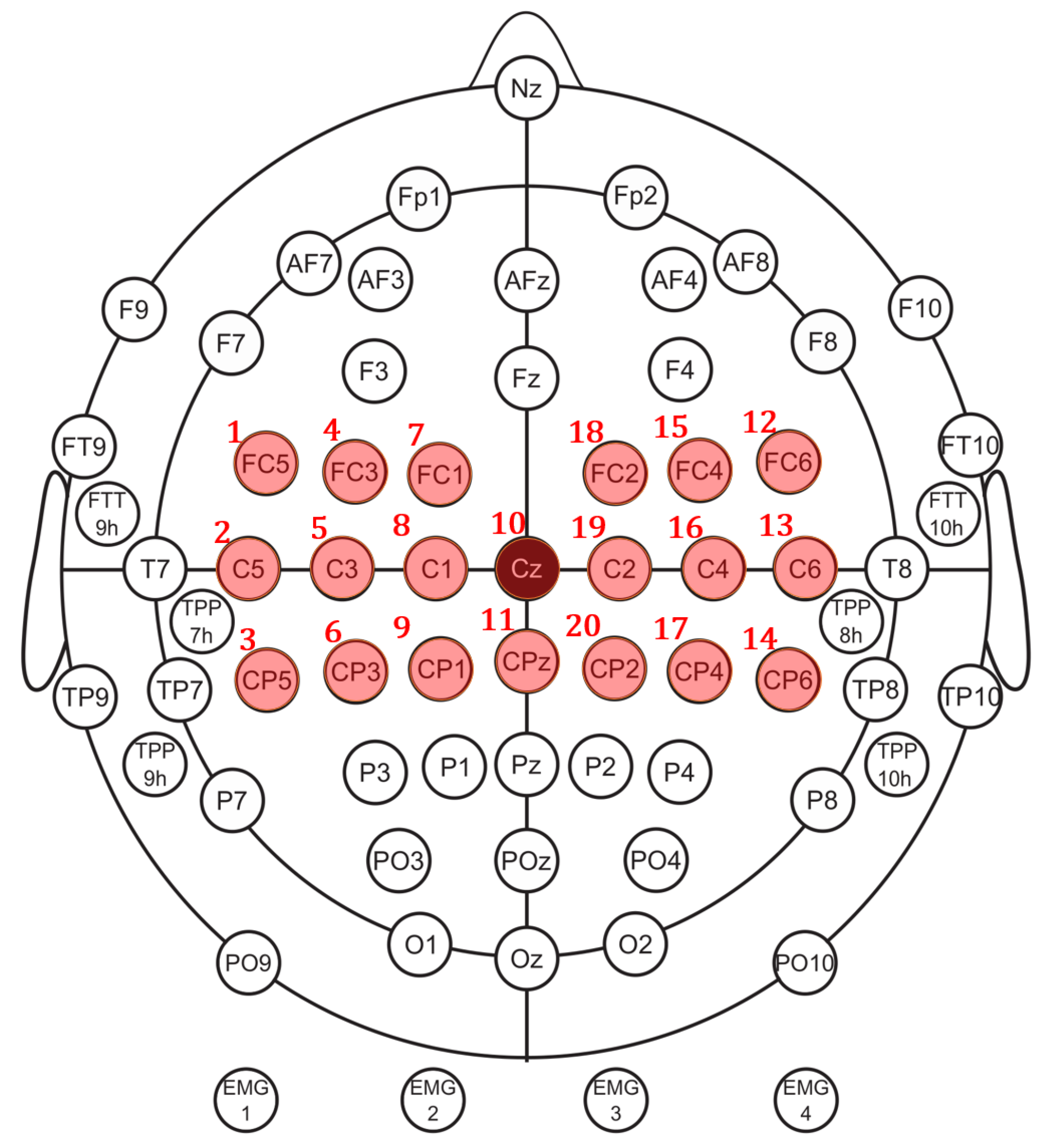 Applsci 11 10906 g002 550