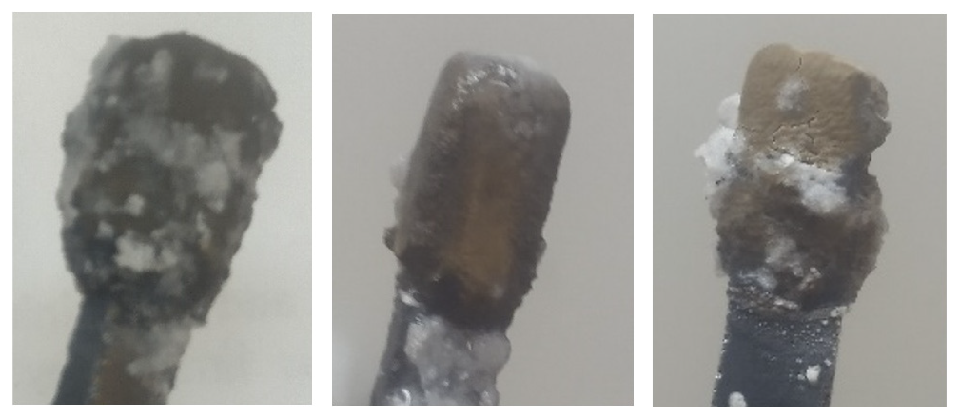 Applsci 11 10927 g002