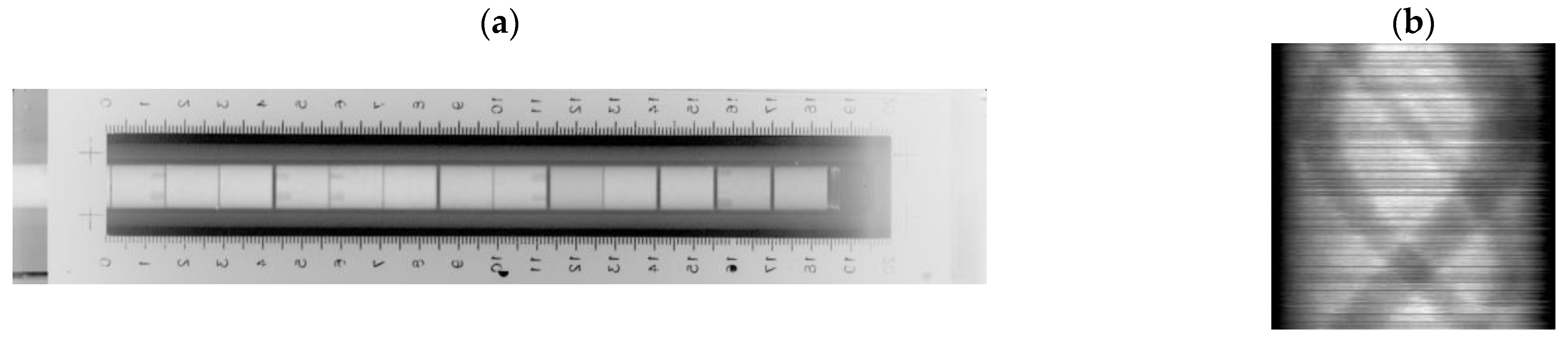 Applsci 11 10942 g009