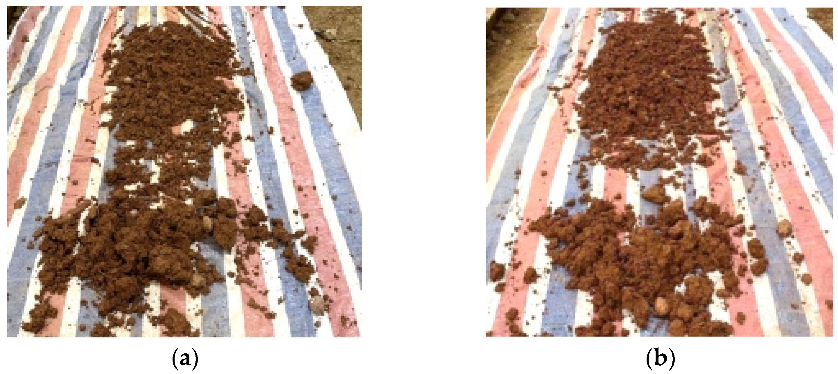 Applsci 11 10959 g010 550