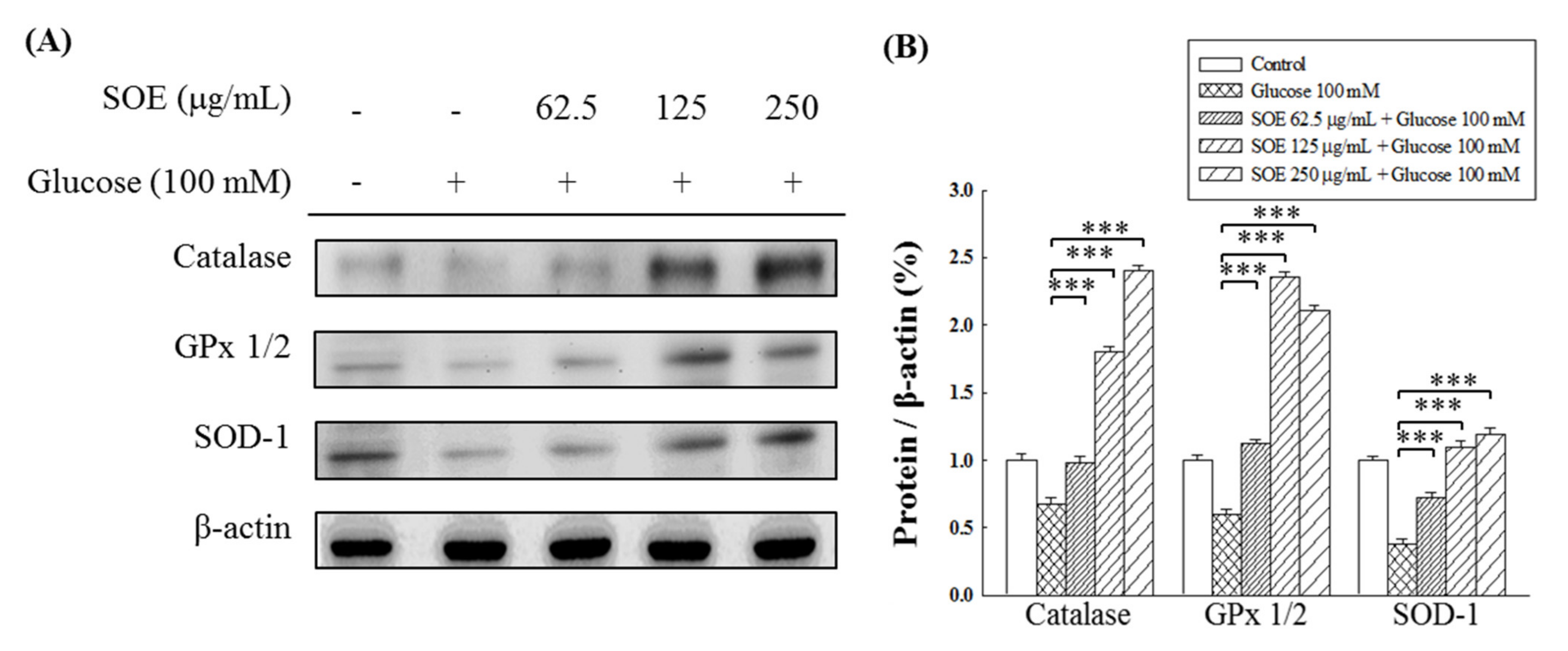 Applsci 11 10963 g004