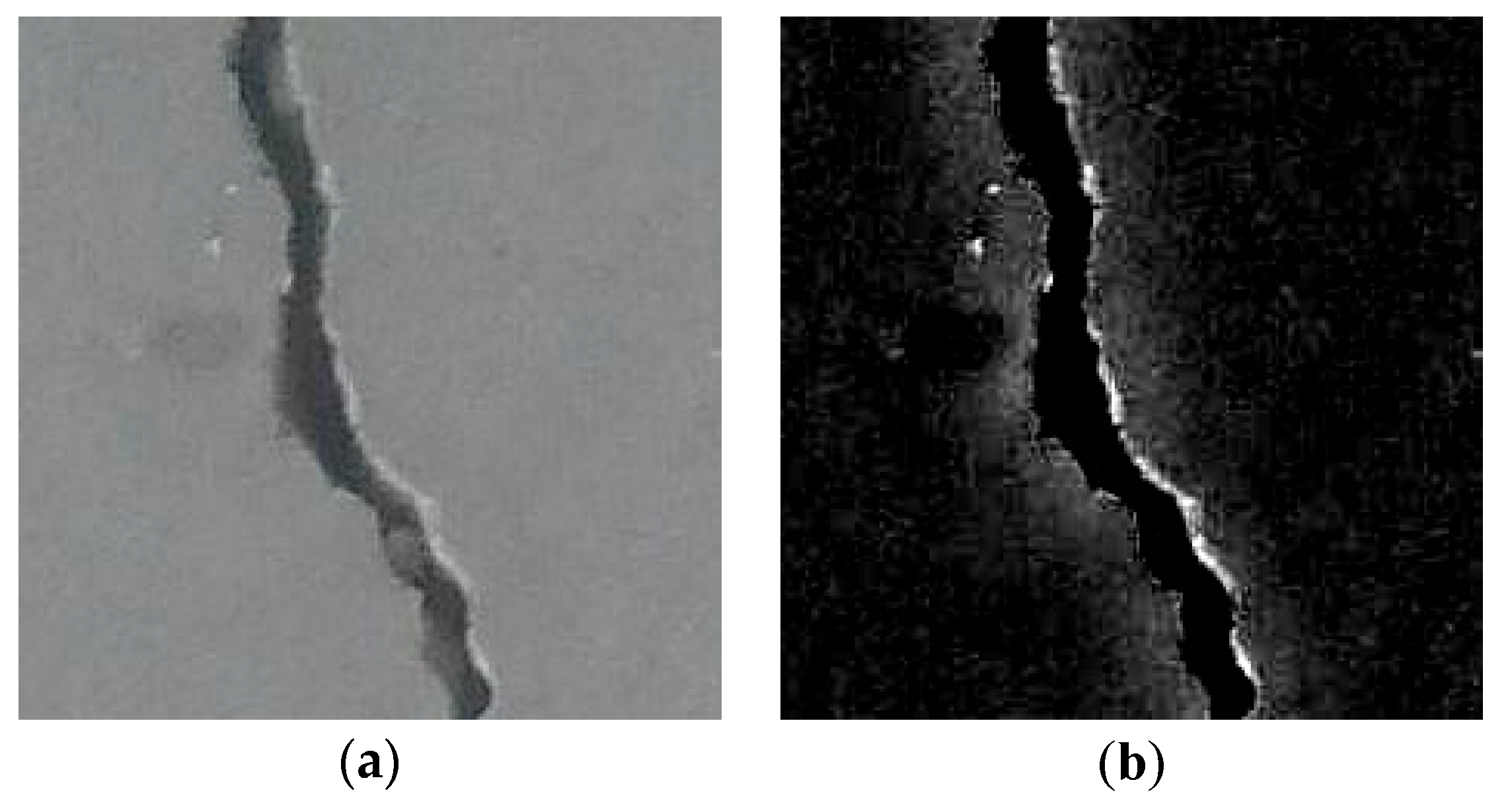 Applsci 11 10966 g001