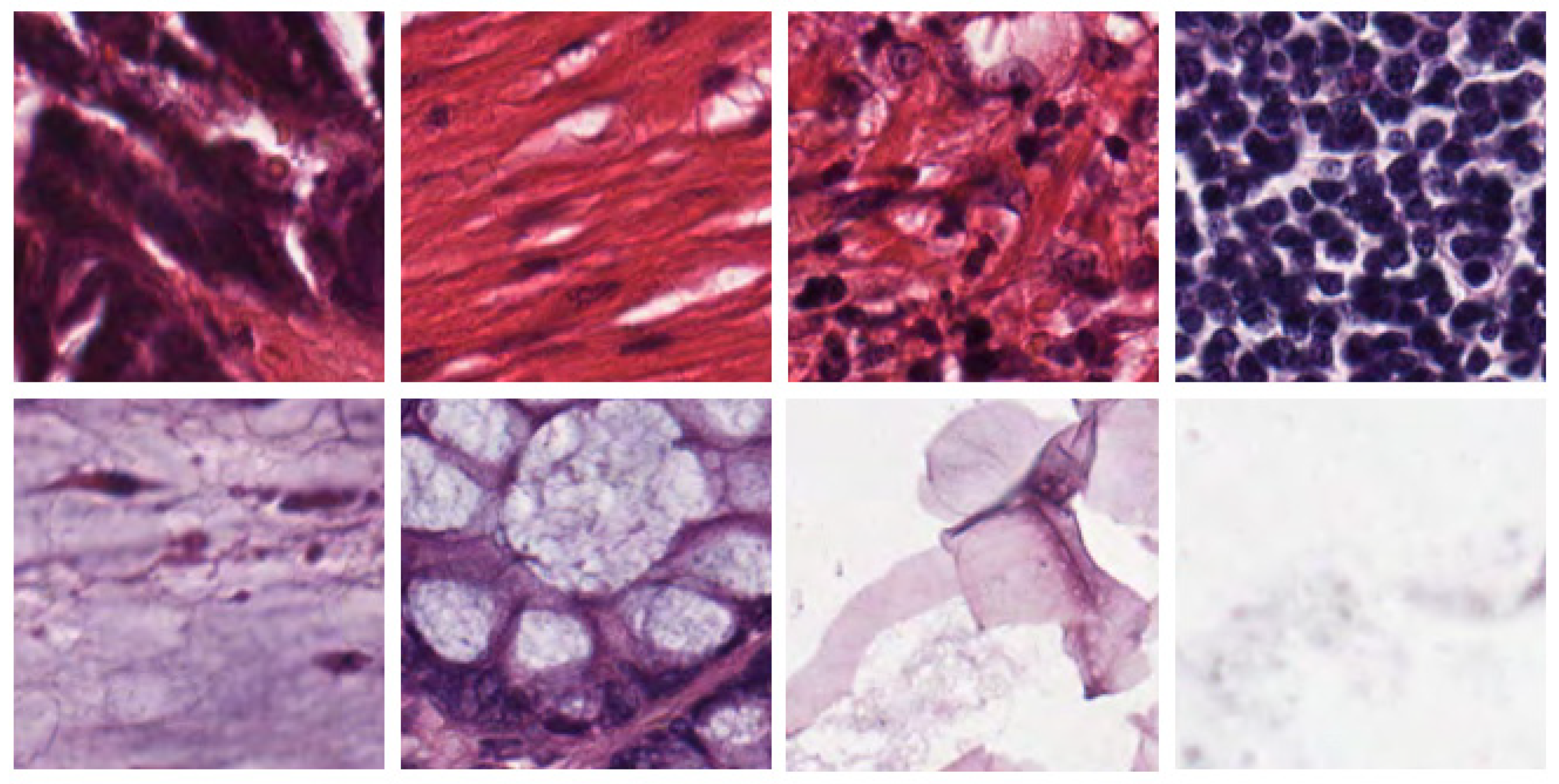 Applsci 11 10982 g003