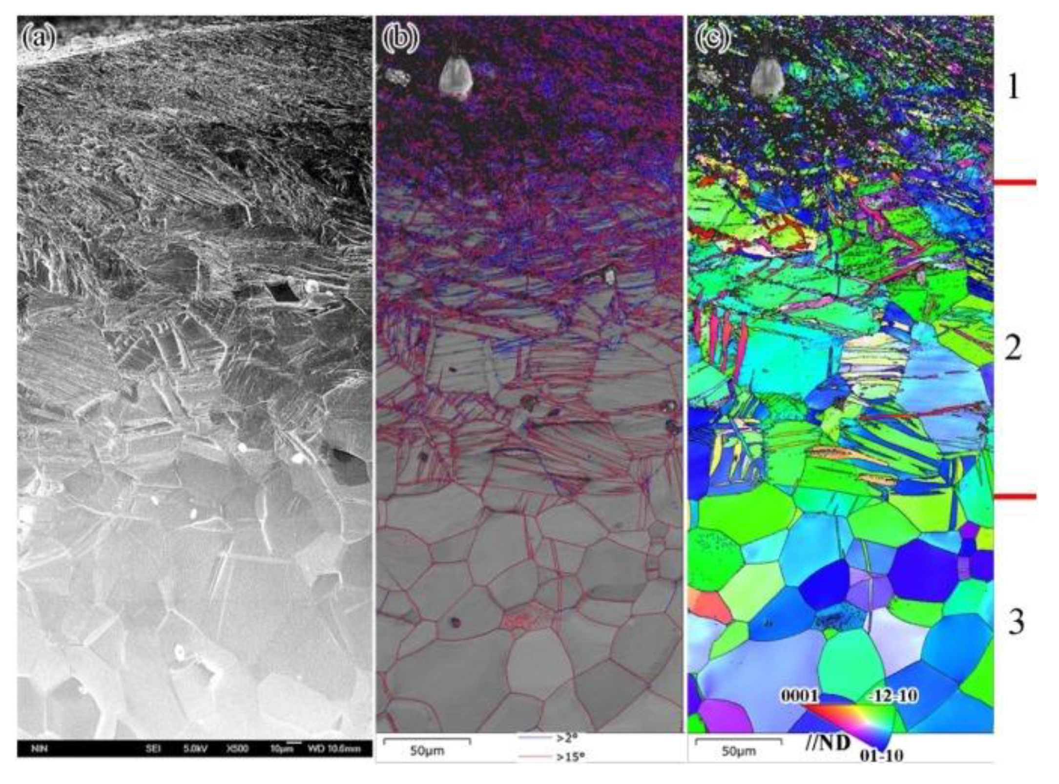 Applsci 11 10986 g006