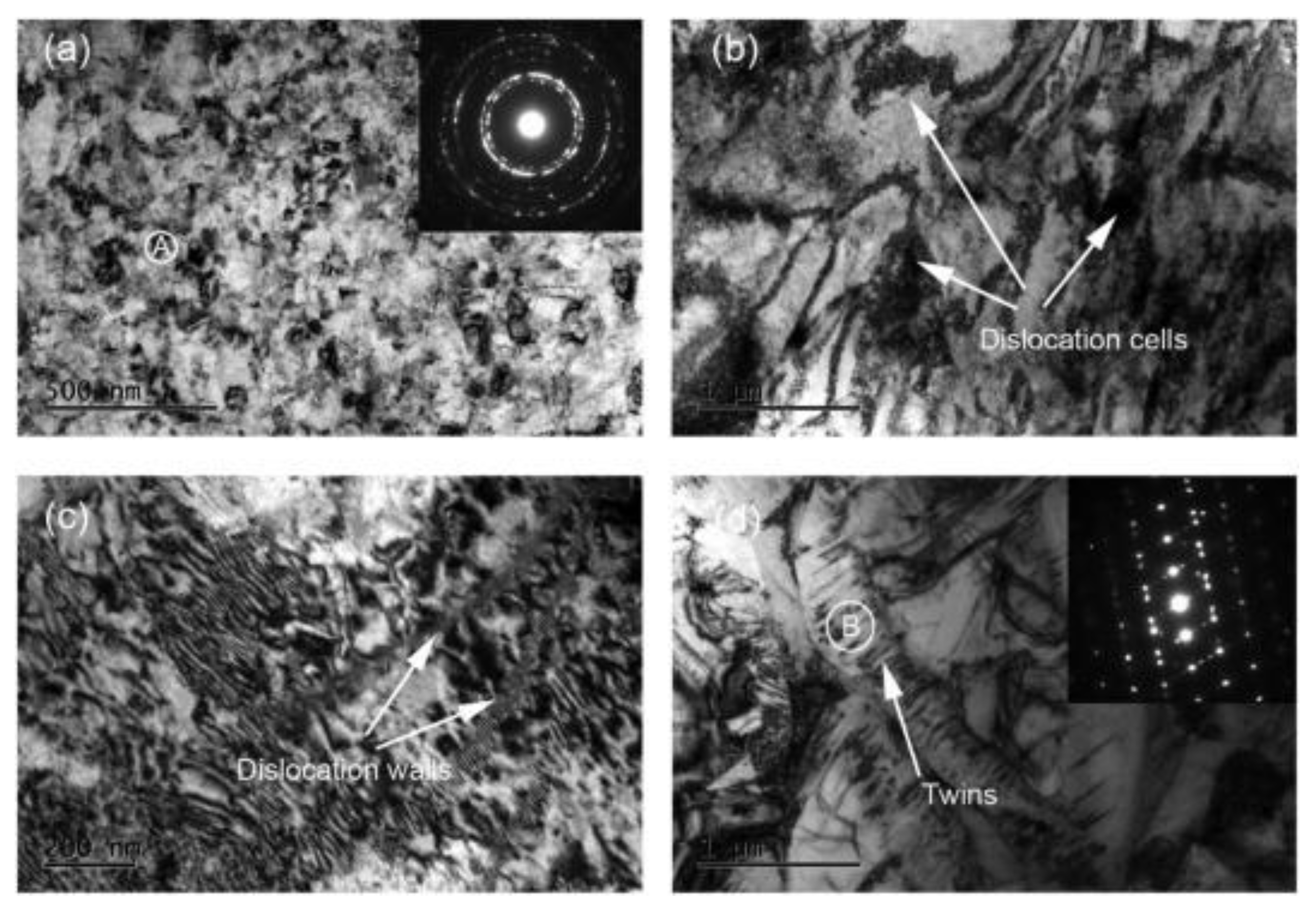 Applsci 11 10986 g007