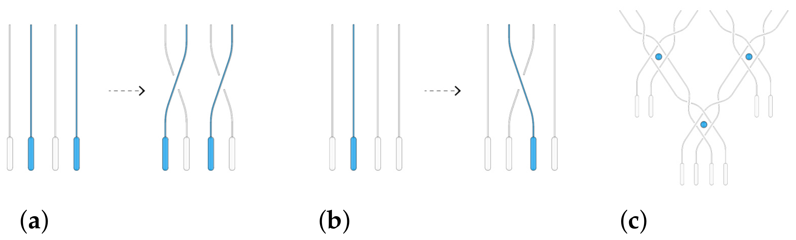 Applsci 11 10989 g002