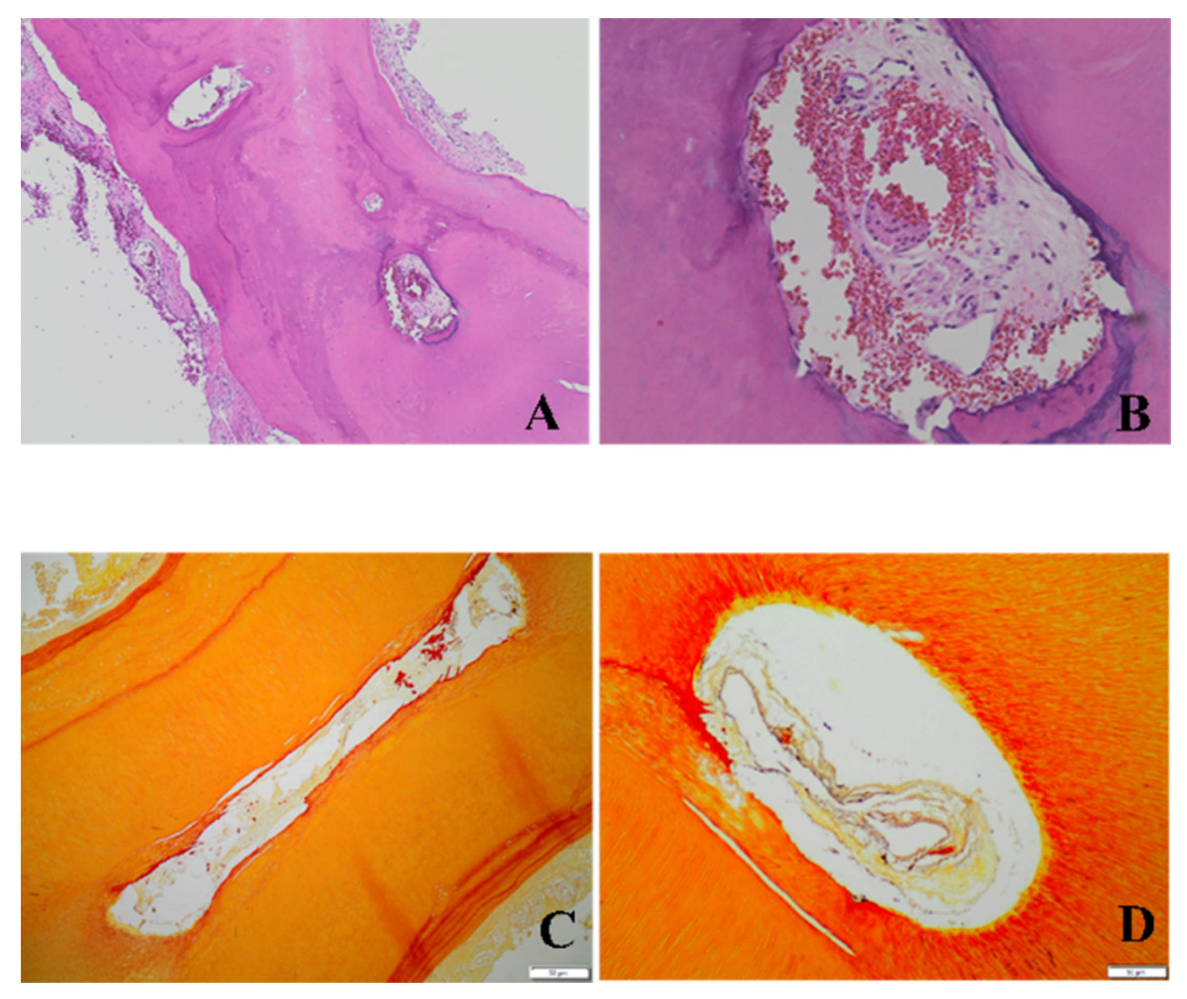 Applsci 11 11002 g002 Applsci 11 11002 g002