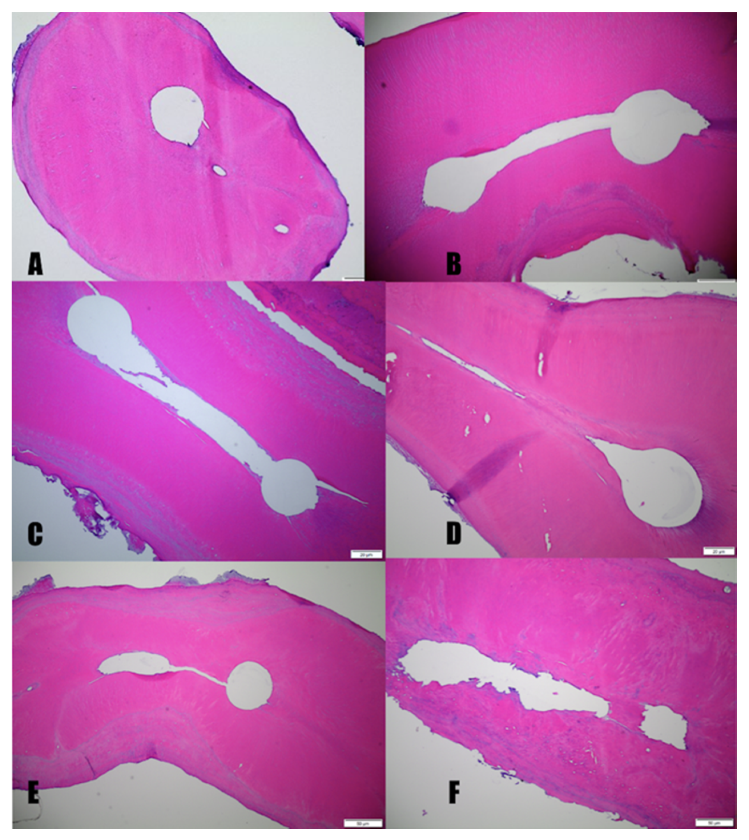 Applsci 11 11002 g003 Applsci 11 11002 g003