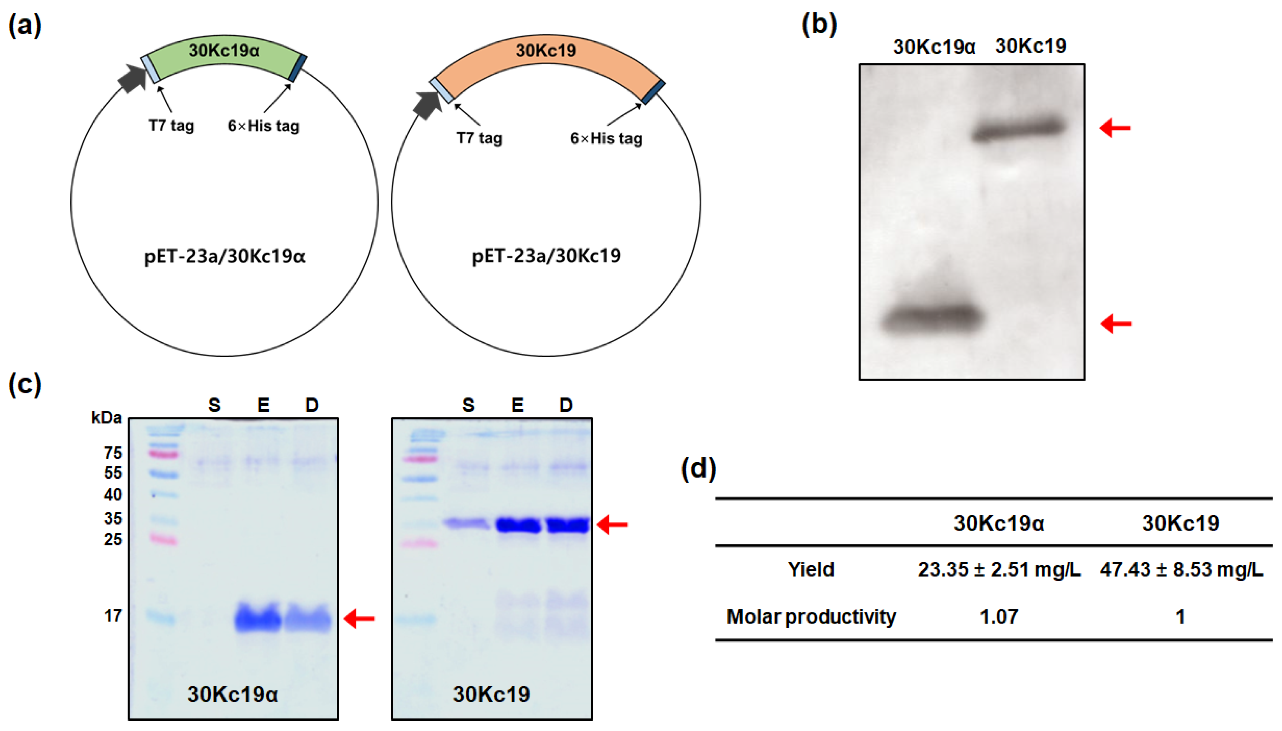 Applsci 11 11009 g001 Applsci 11 11009 g001