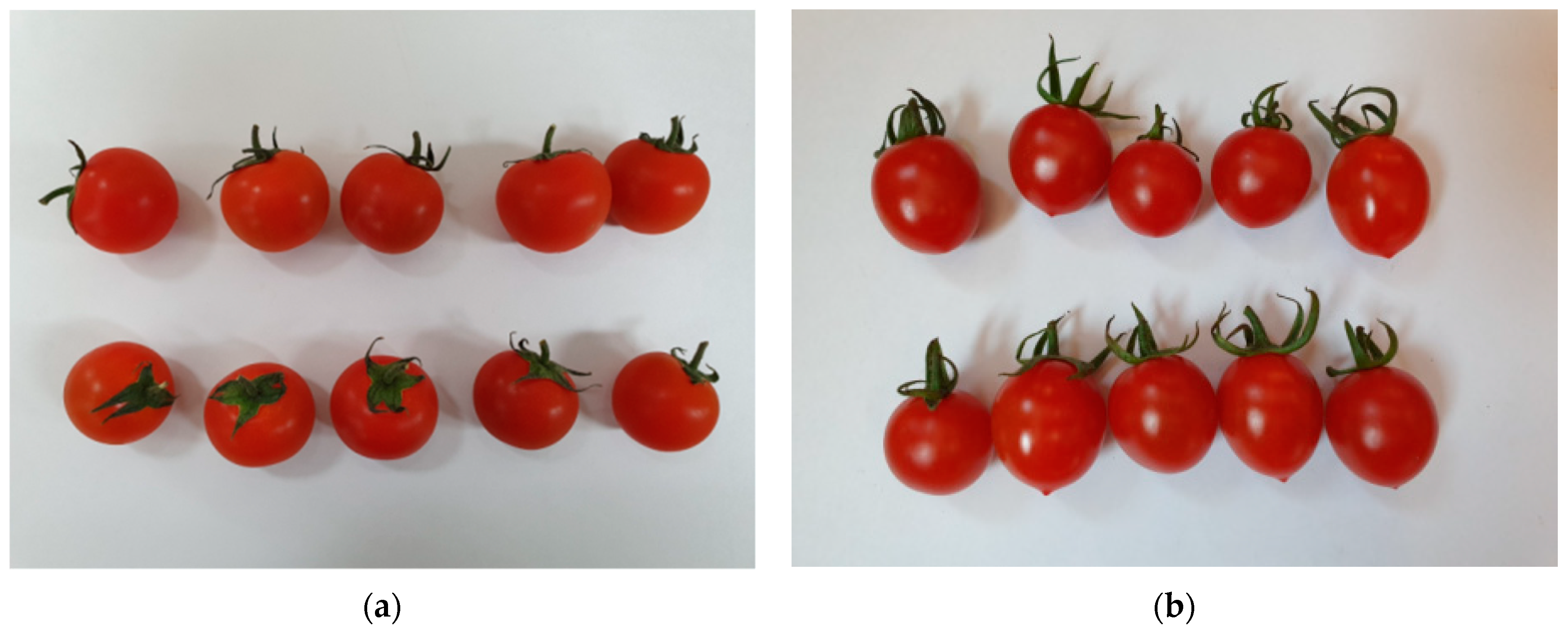 Applsci 11 11016 g002