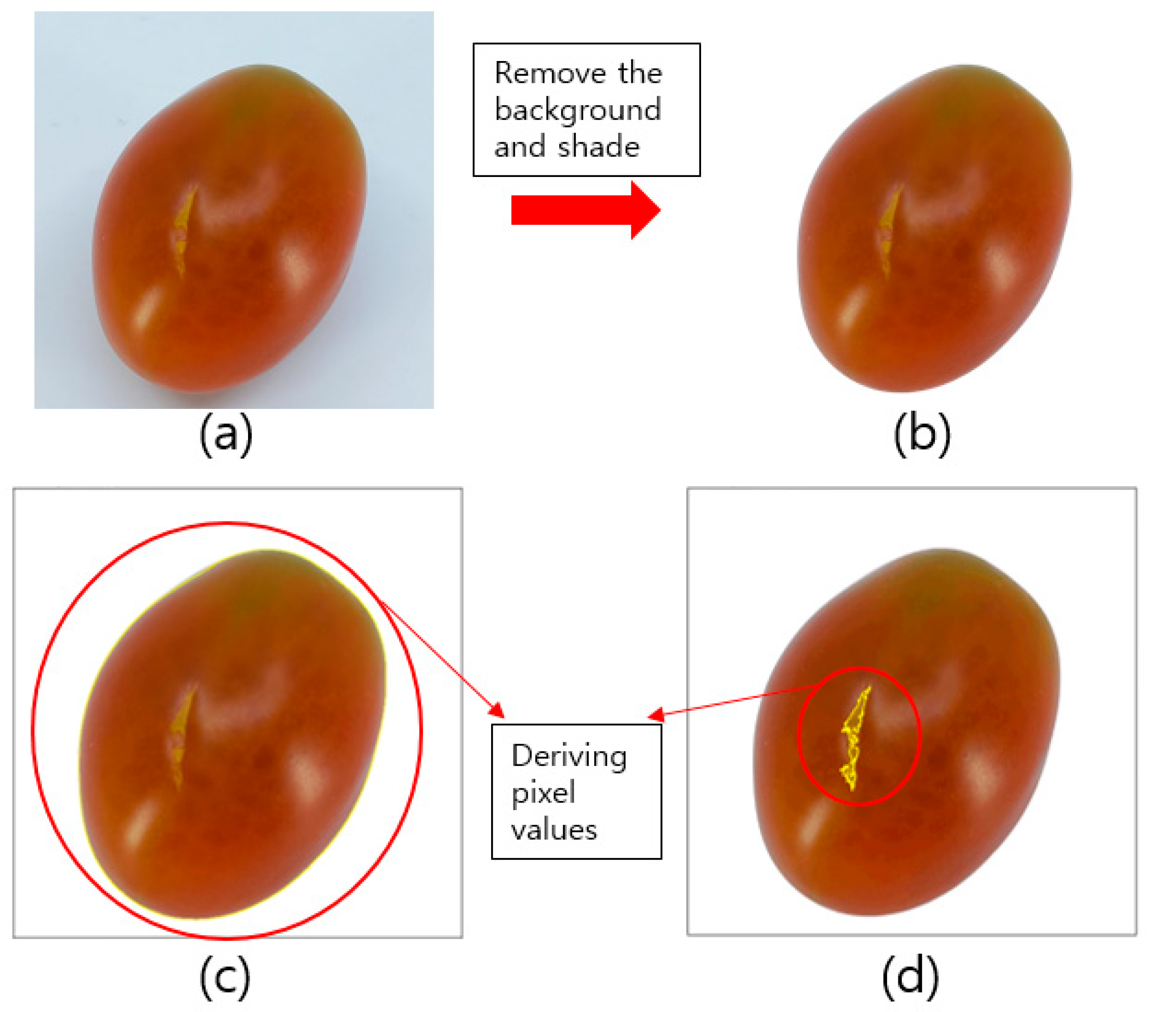 Applsci 11 11016 g003