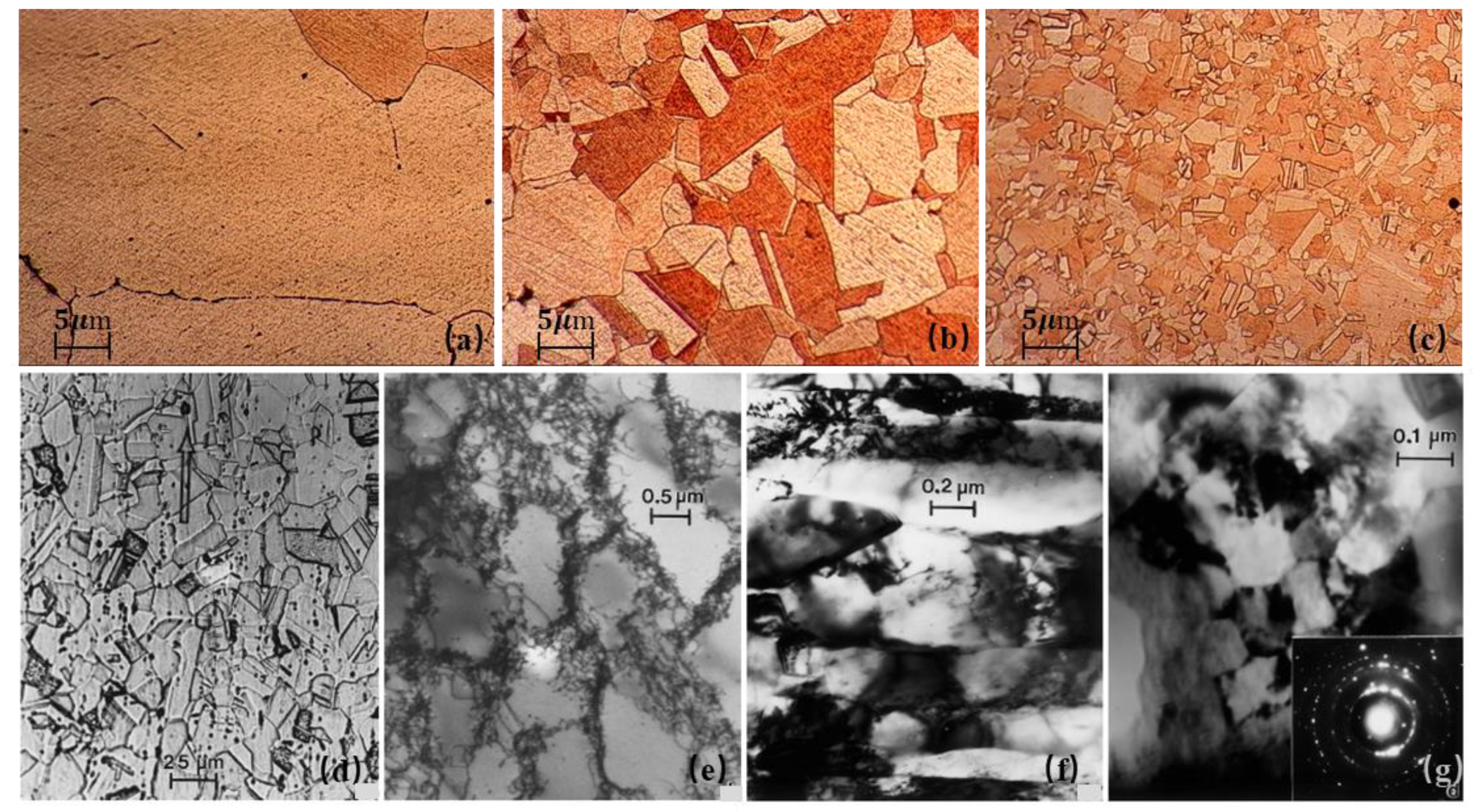 Applsci 11 11023 g002