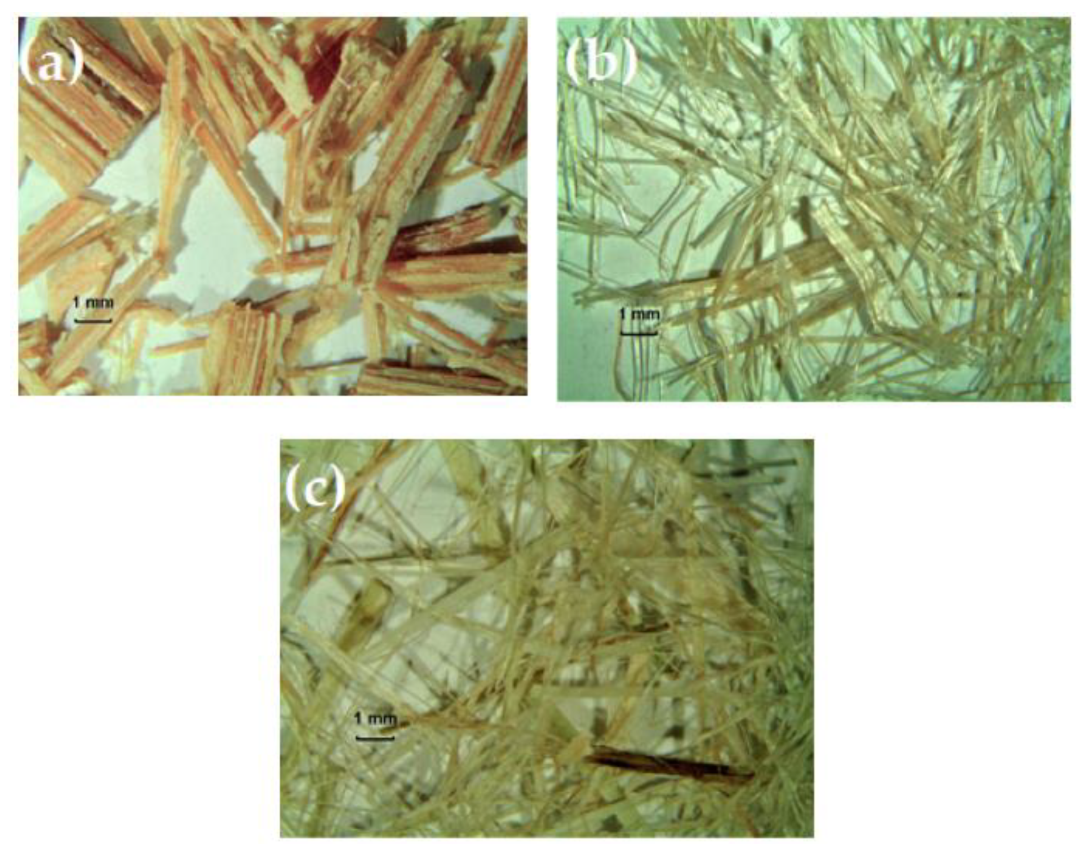 Applsci 11 11026 g001