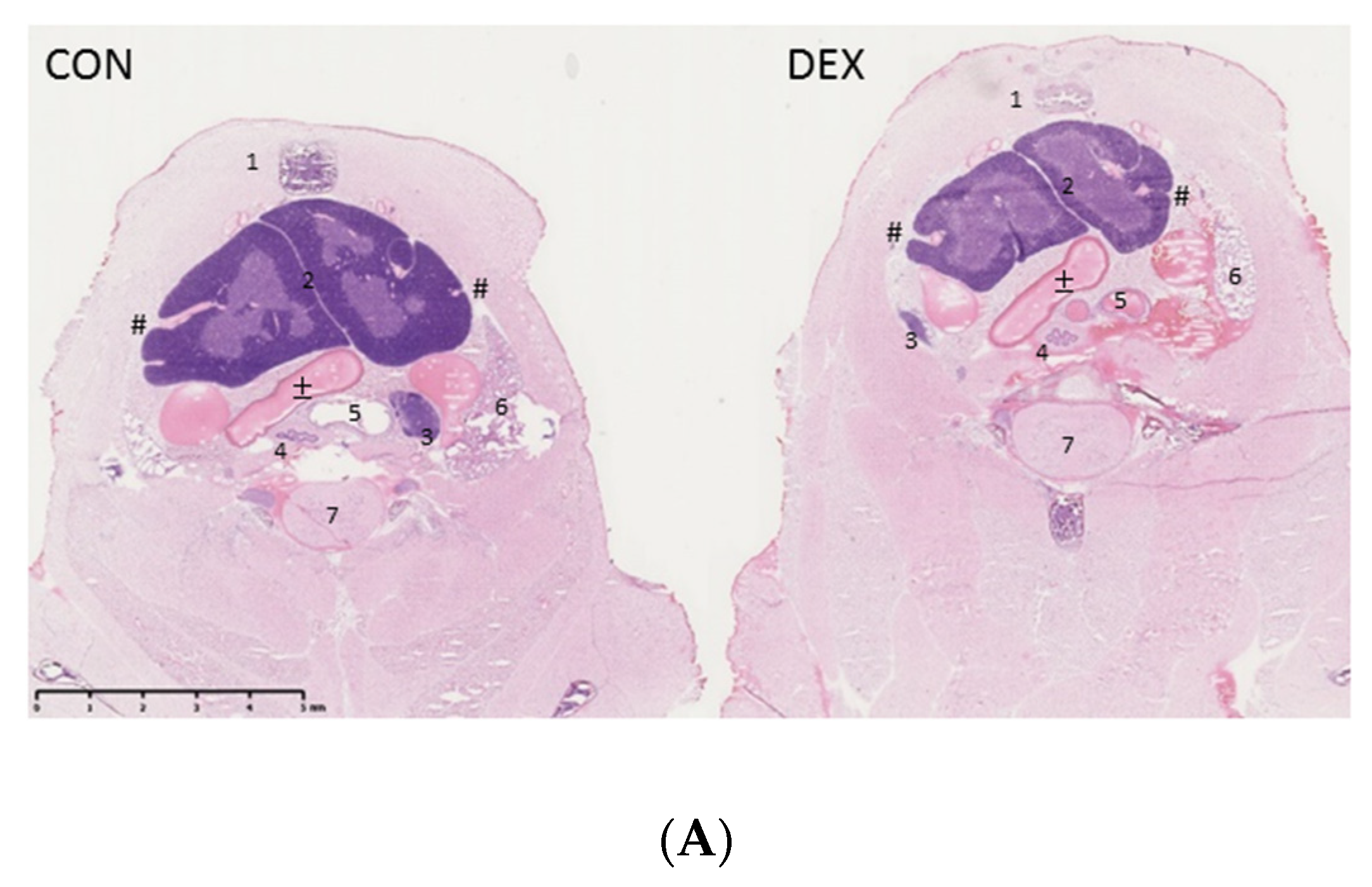 Applsci 11 11038 g002a
