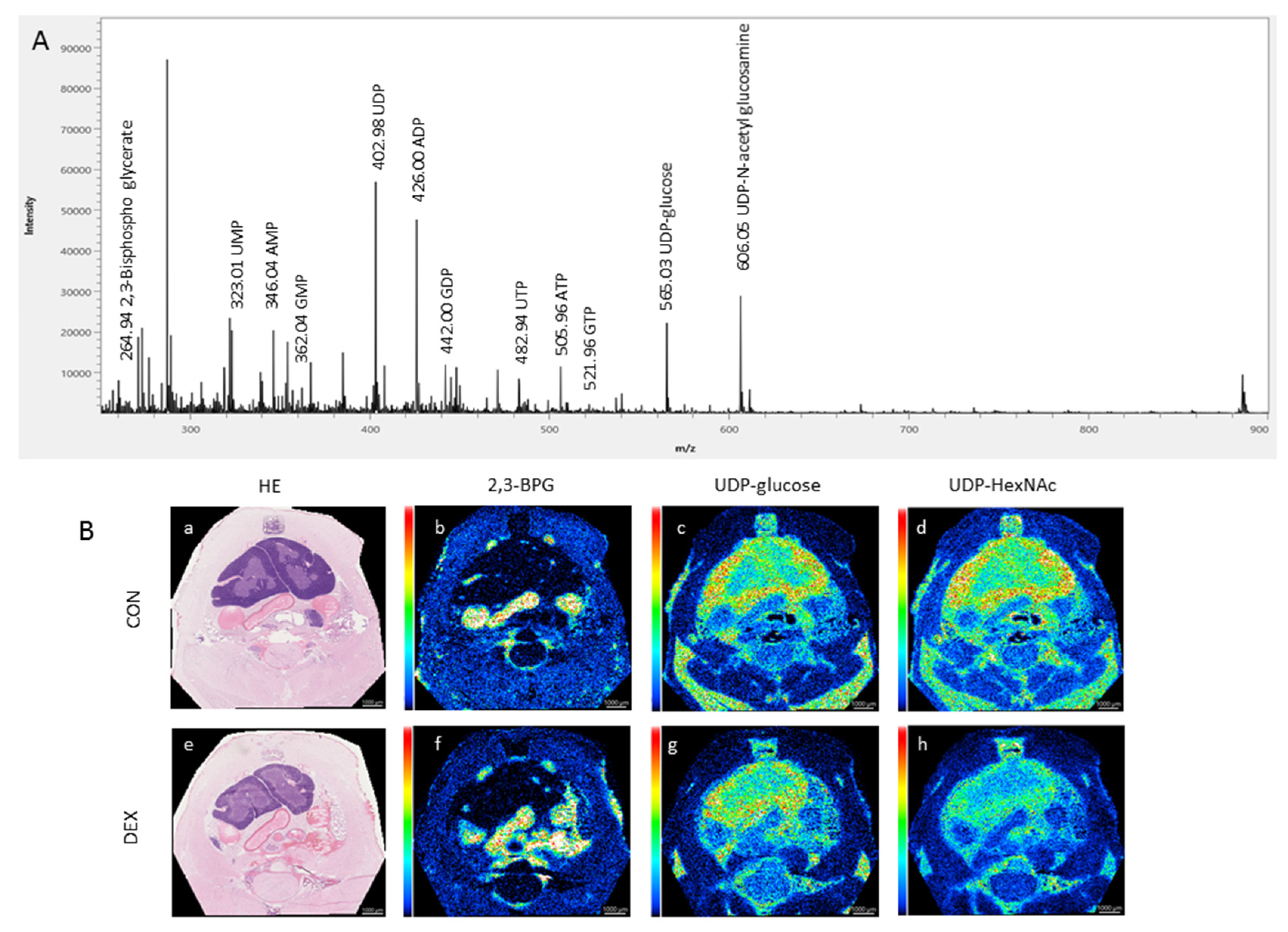 Applsci 11 11038 g003