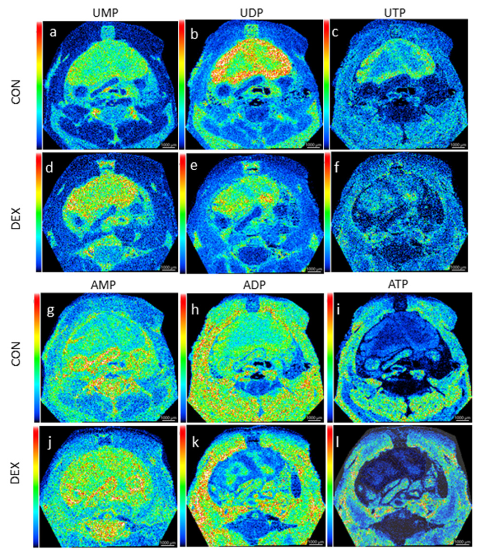 Applsci 11 11038 g004