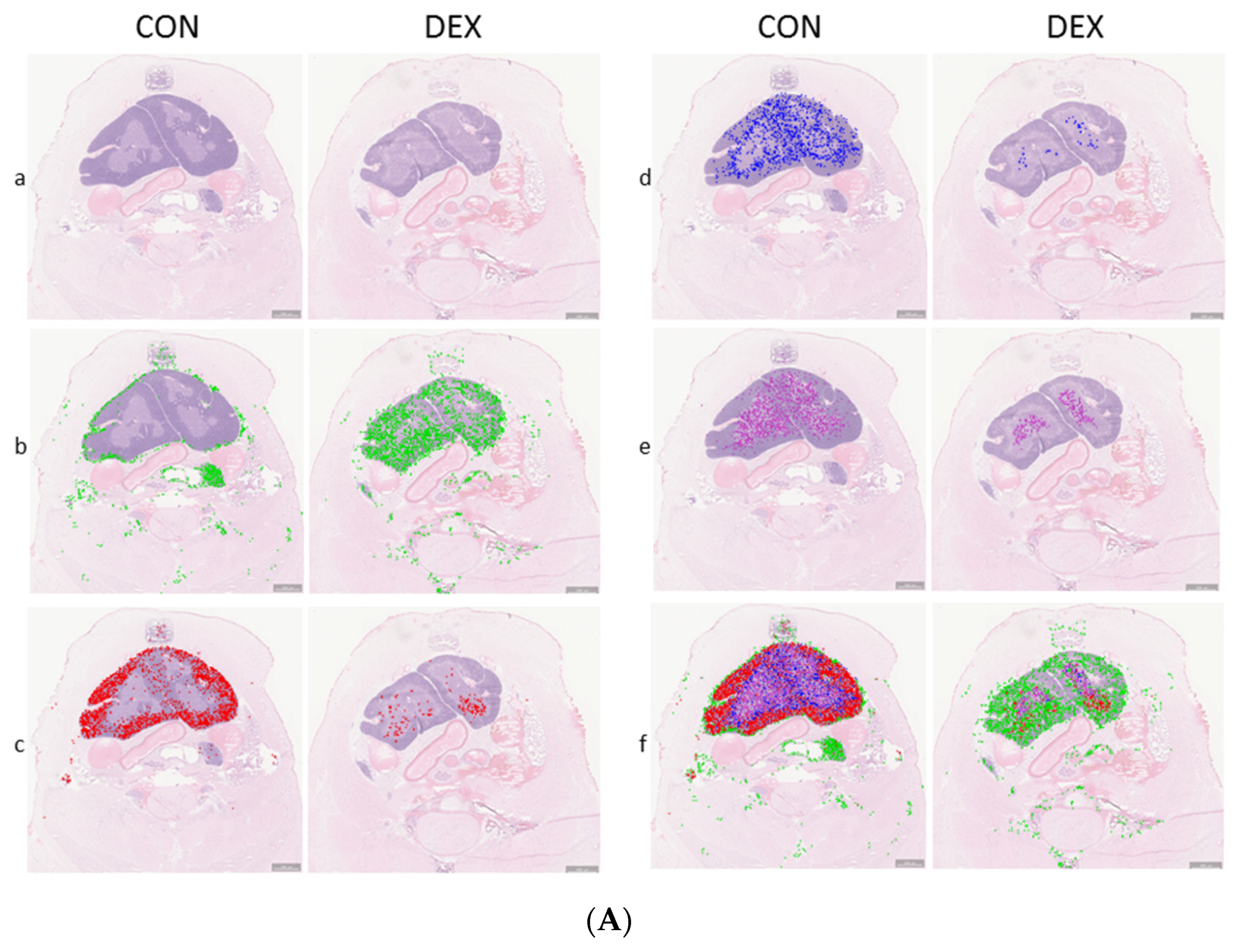 Applsci 11 11038 g007a