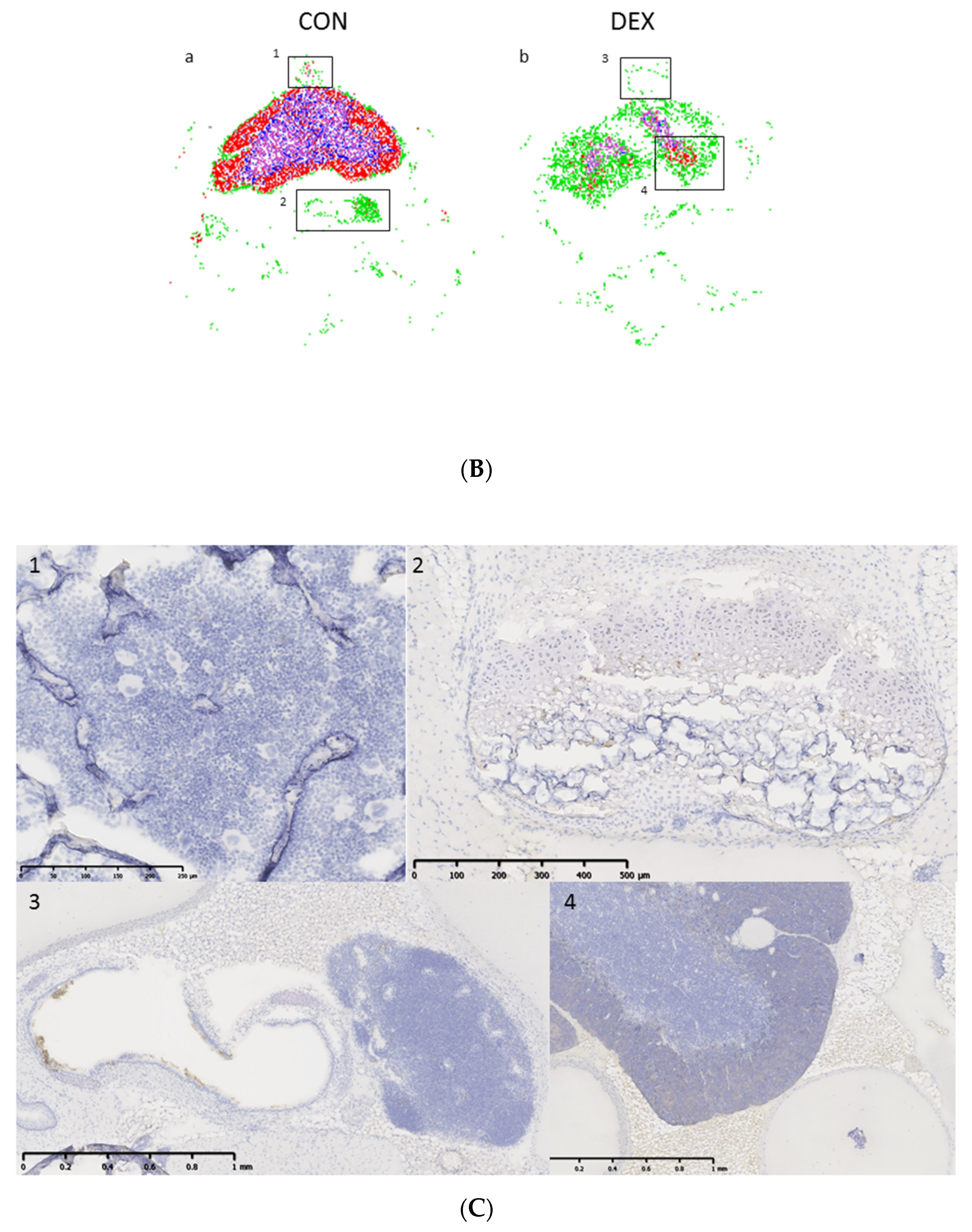 Applsci 11 11038 g007b