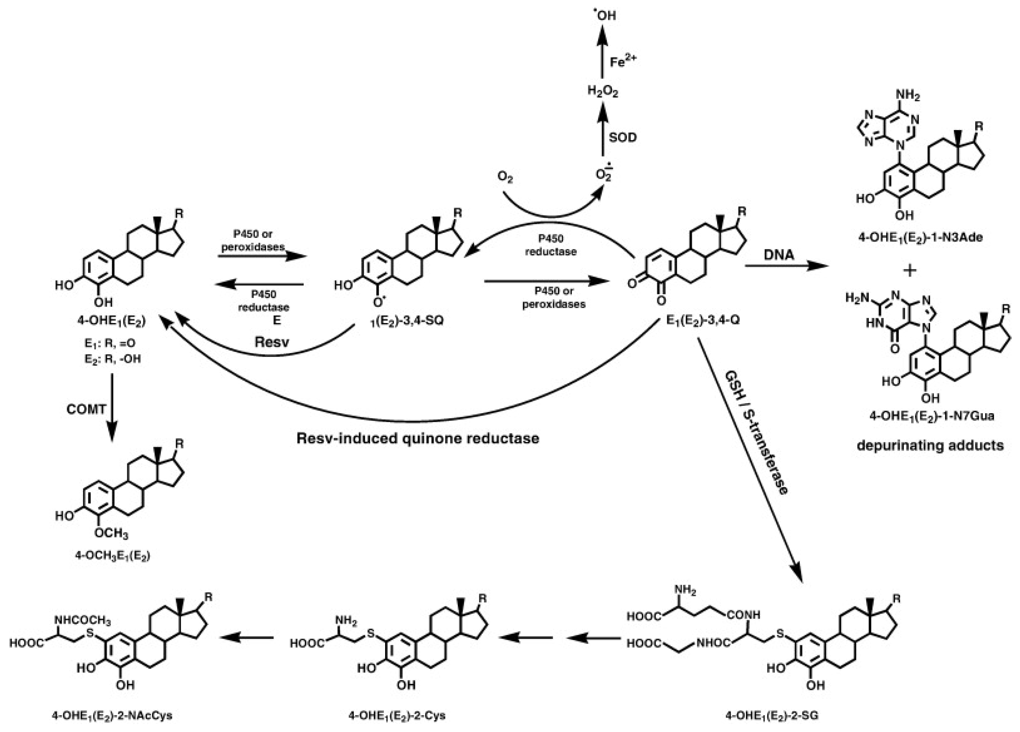 Applsci 11 11041 g003 550
