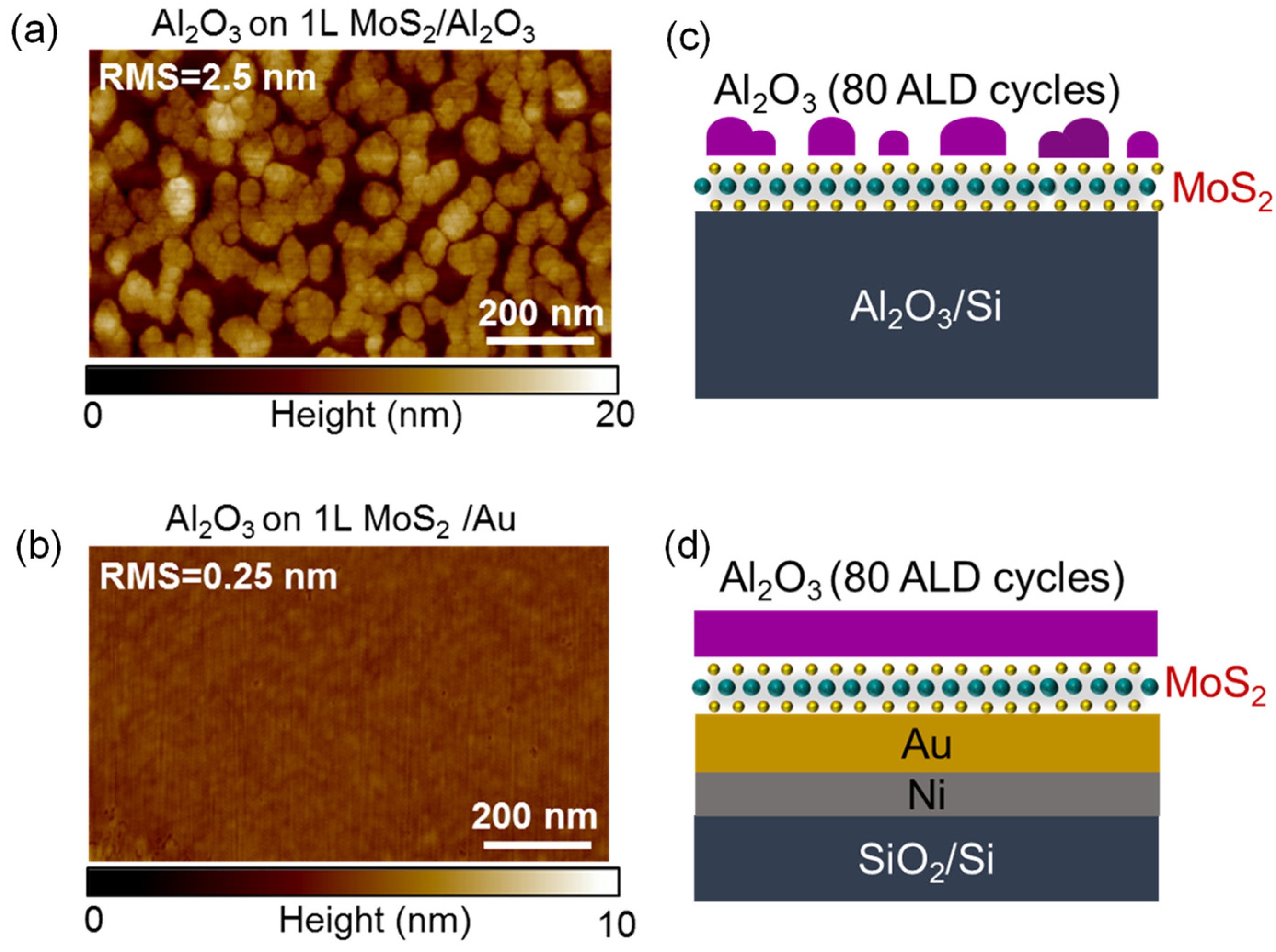 Applsci 11 11052 g010 550