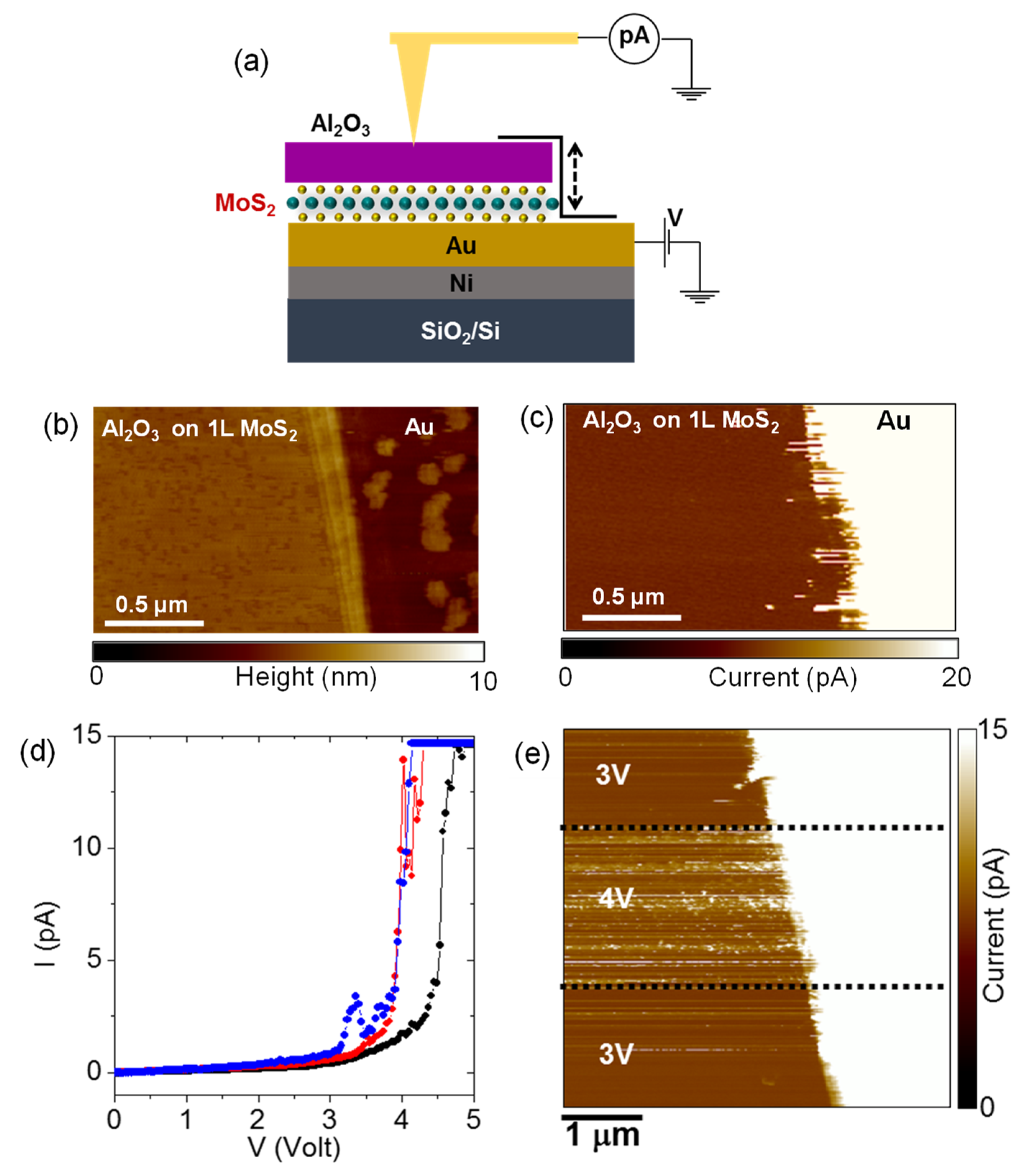 Applsci 11 11052 g011 550