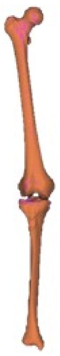 Applsci 11 11070 g003 550