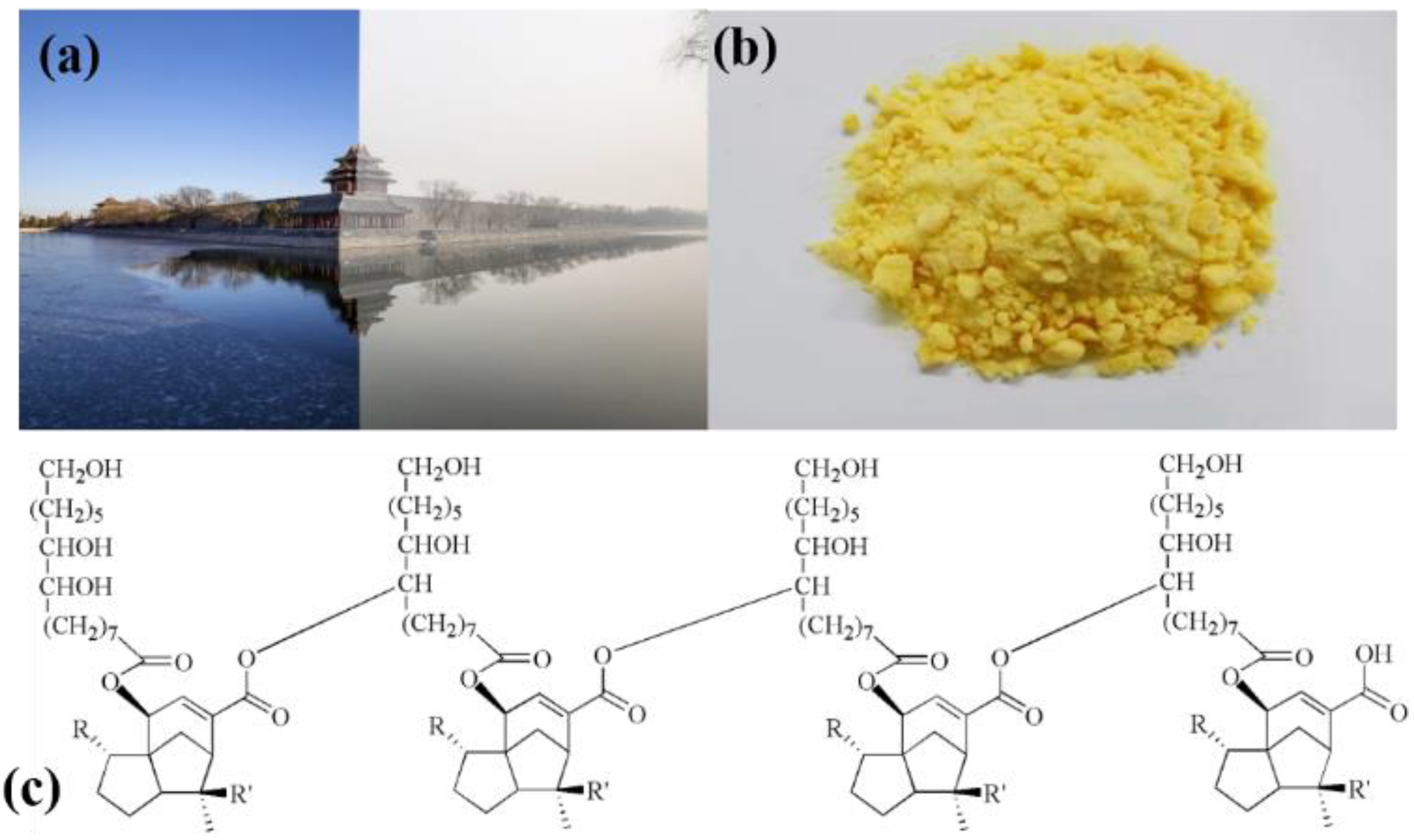 Applsci 11 11094 g001 550