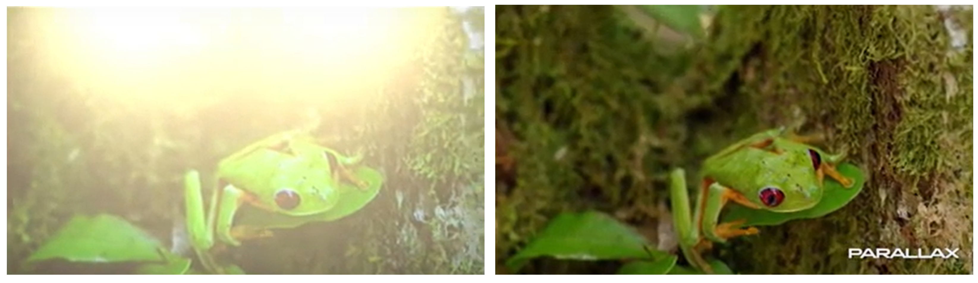 Applsci 11 11153 g002 550