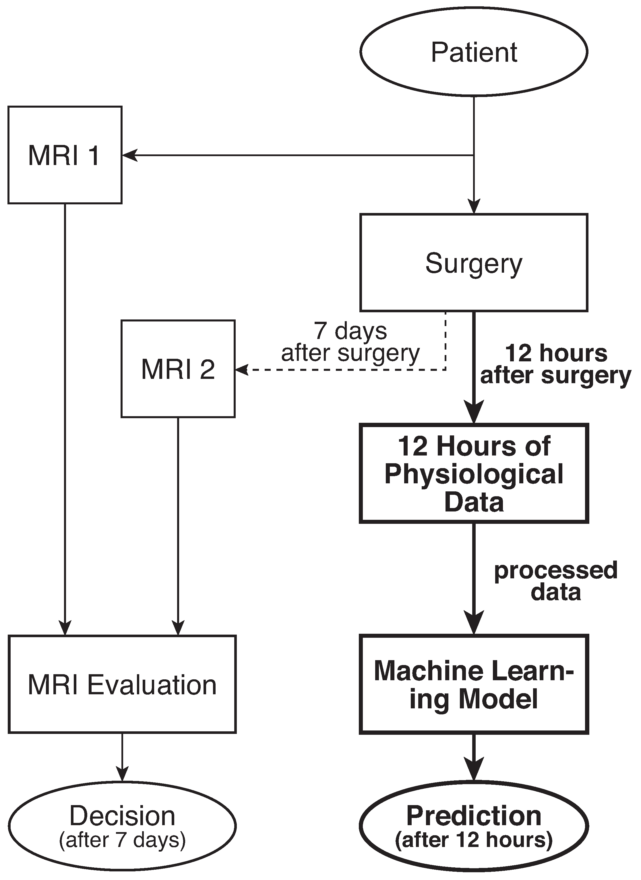 Applsci 11 11156 g001