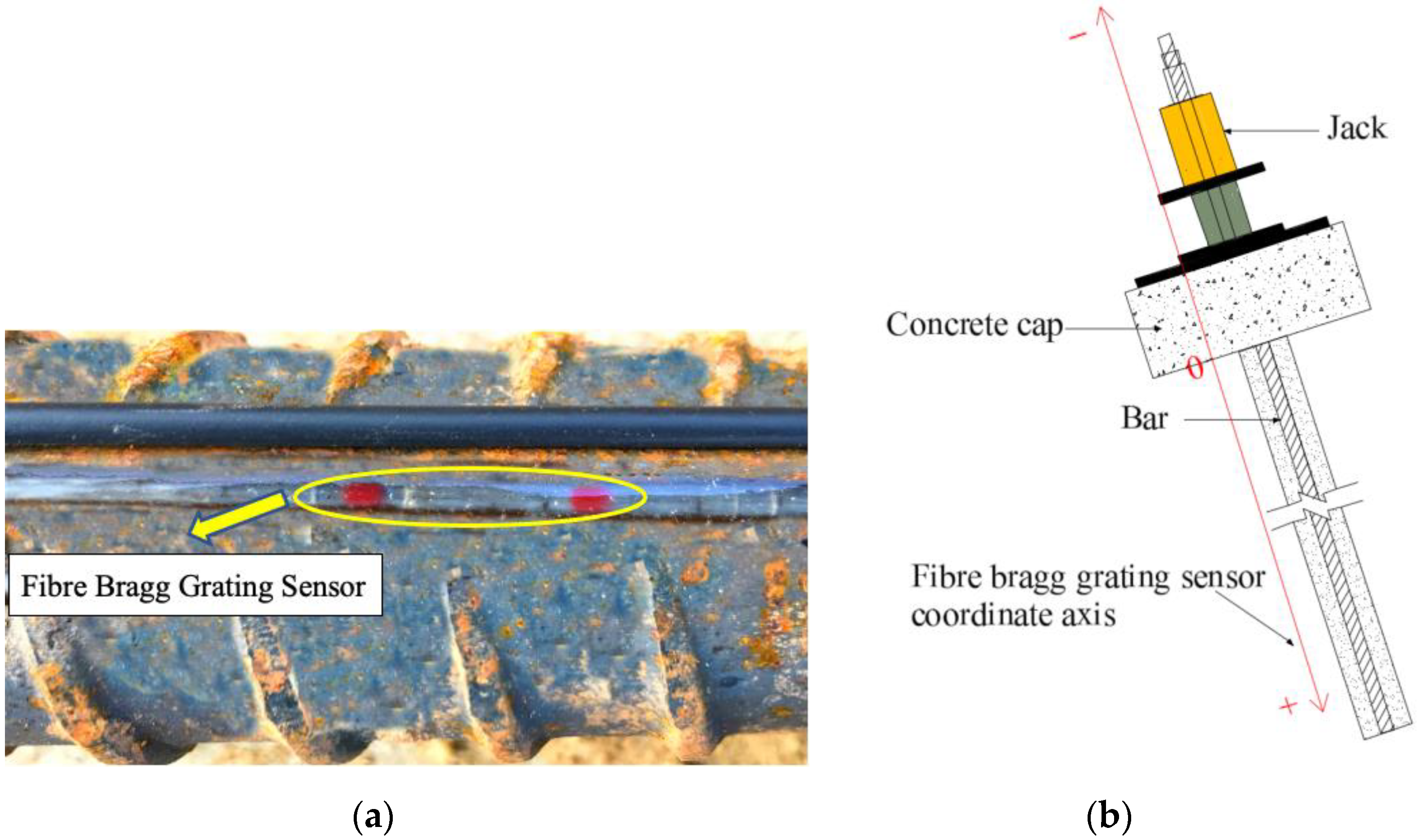 Applsci 11 11161 g004 550