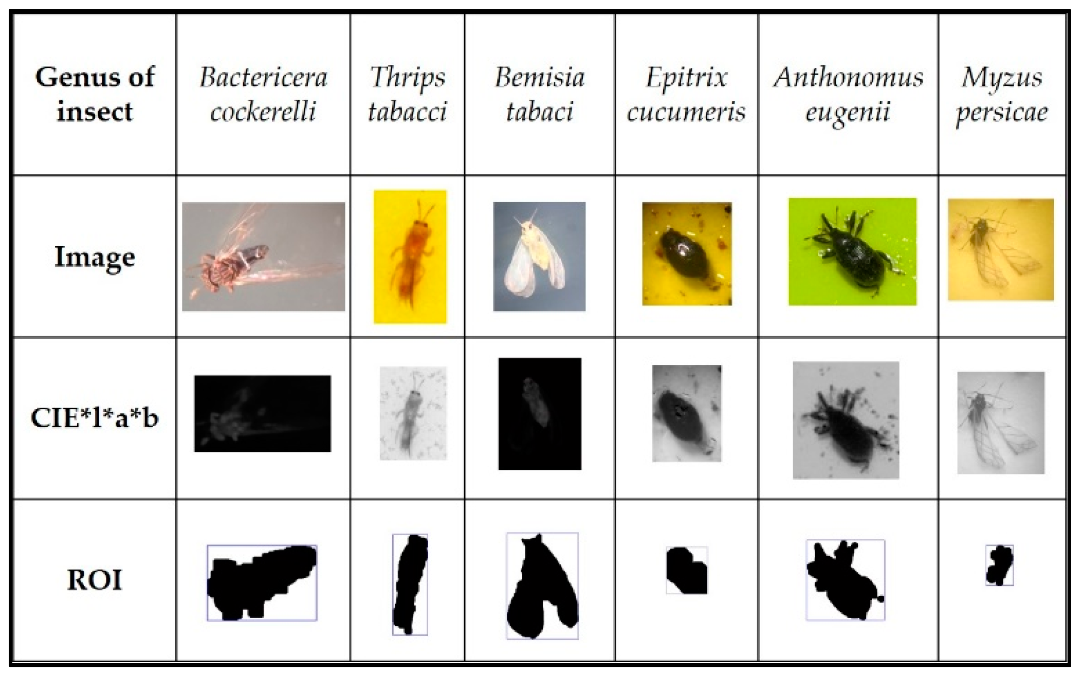 Applsci 11 11166 g002