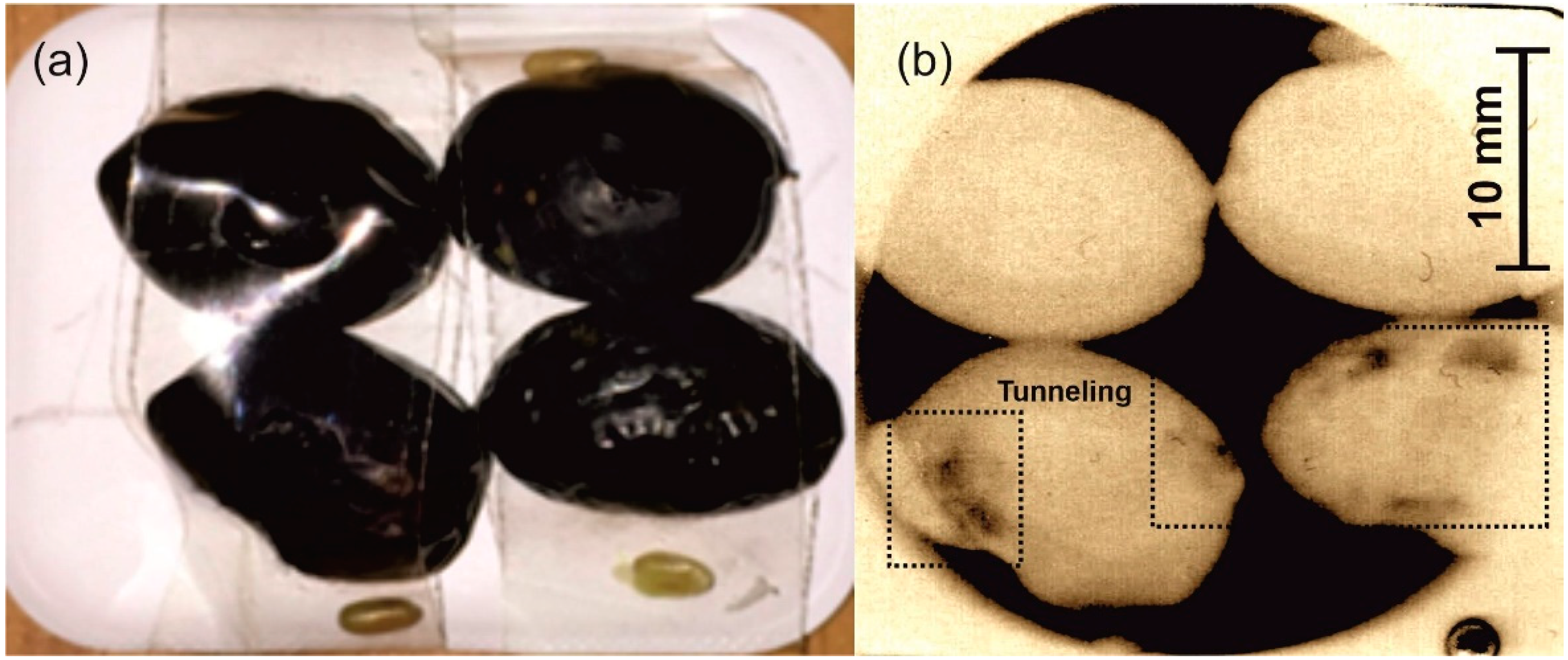Applsci 11 11173 g009