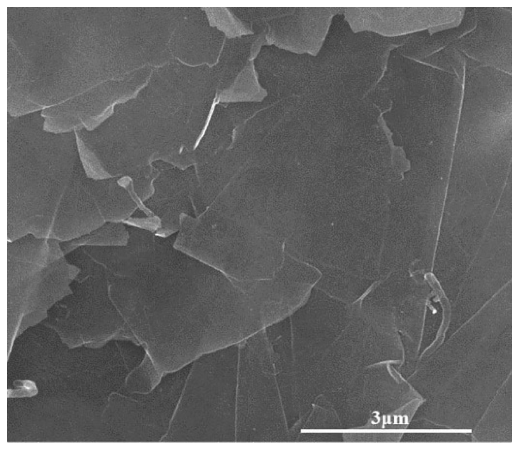 Applsci 11 11177 g001