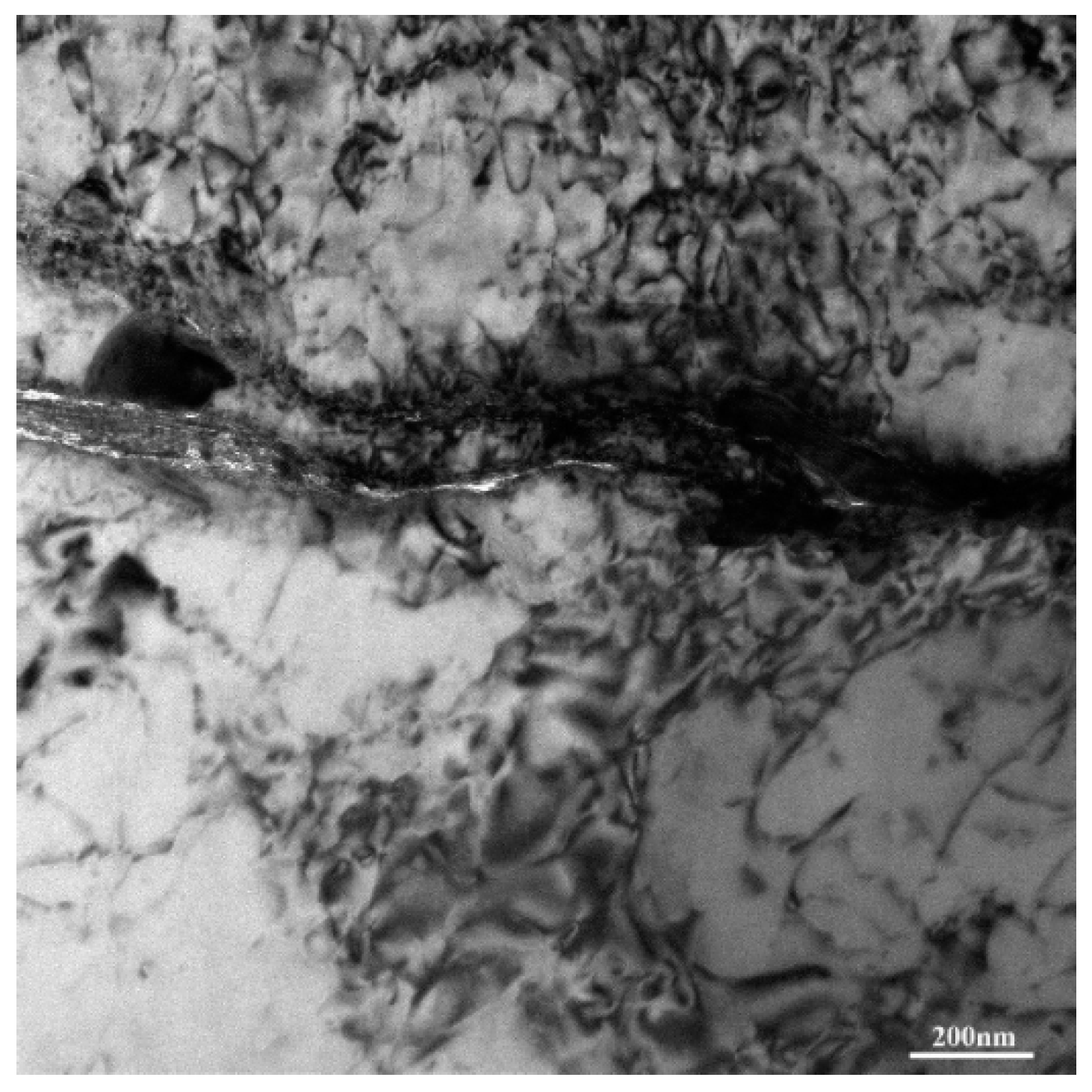 Applsci 11 11177 g010