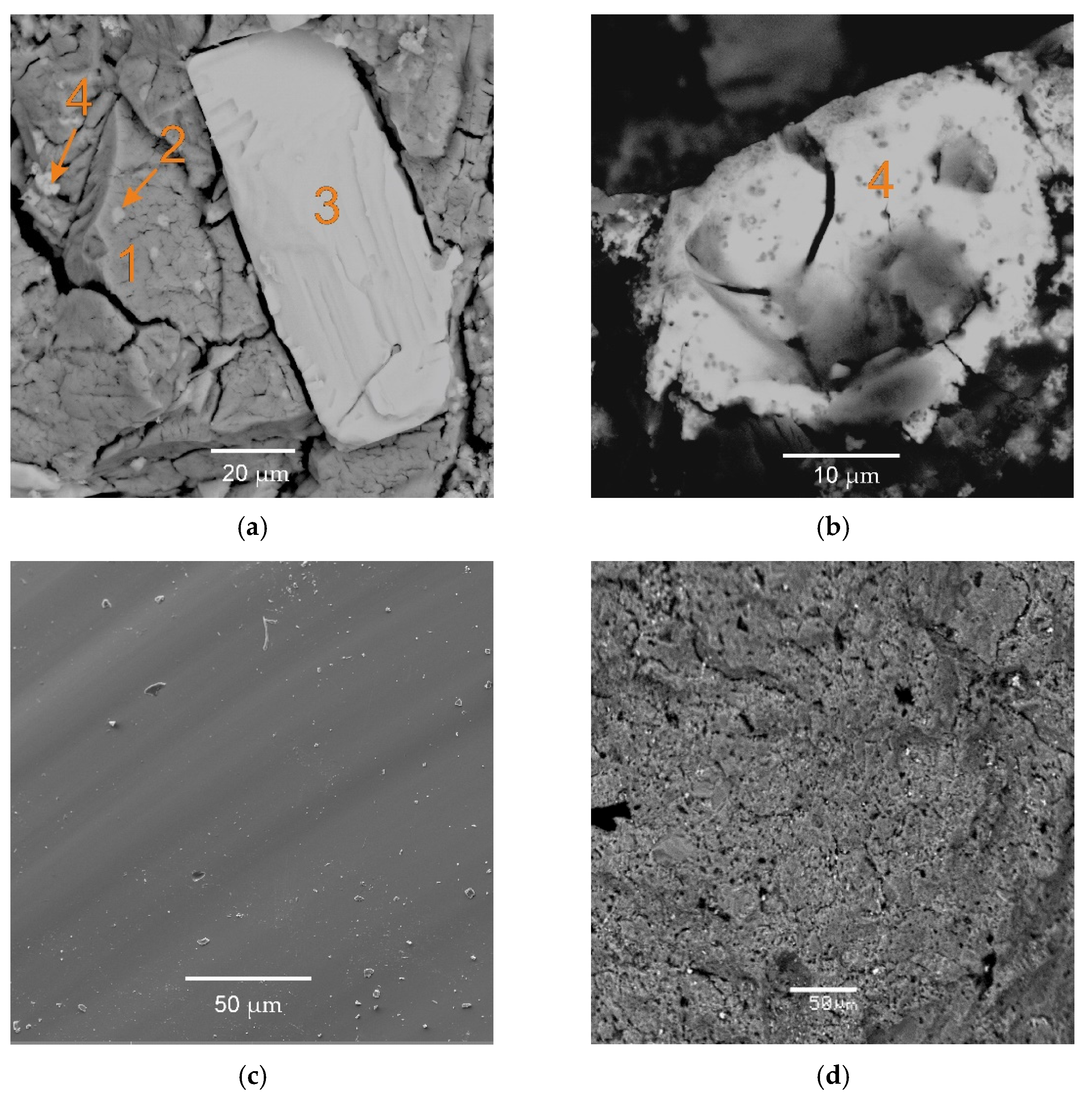 Applsci 11 11180 g002 550