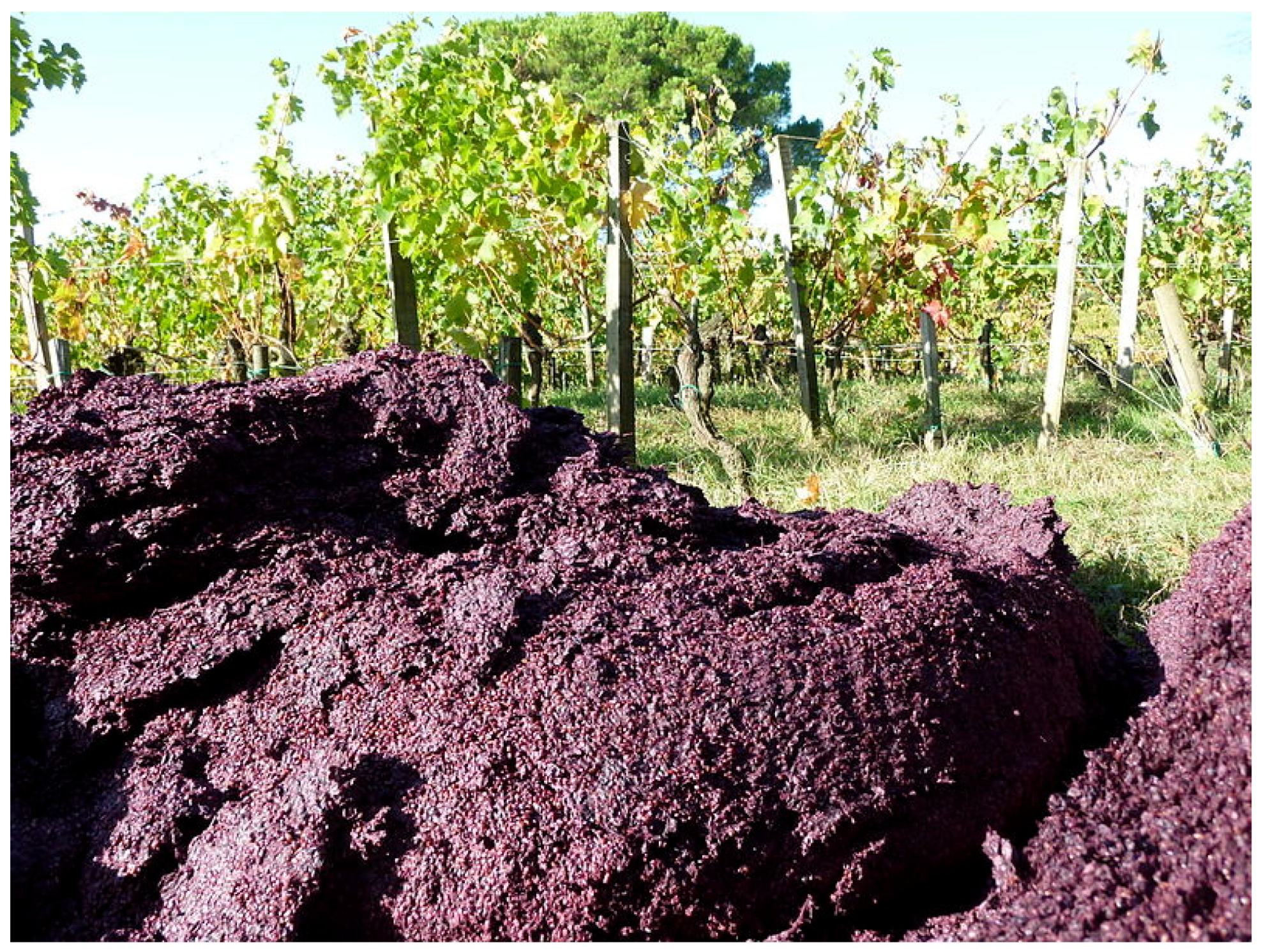 Applsci 11 11188 g008 550