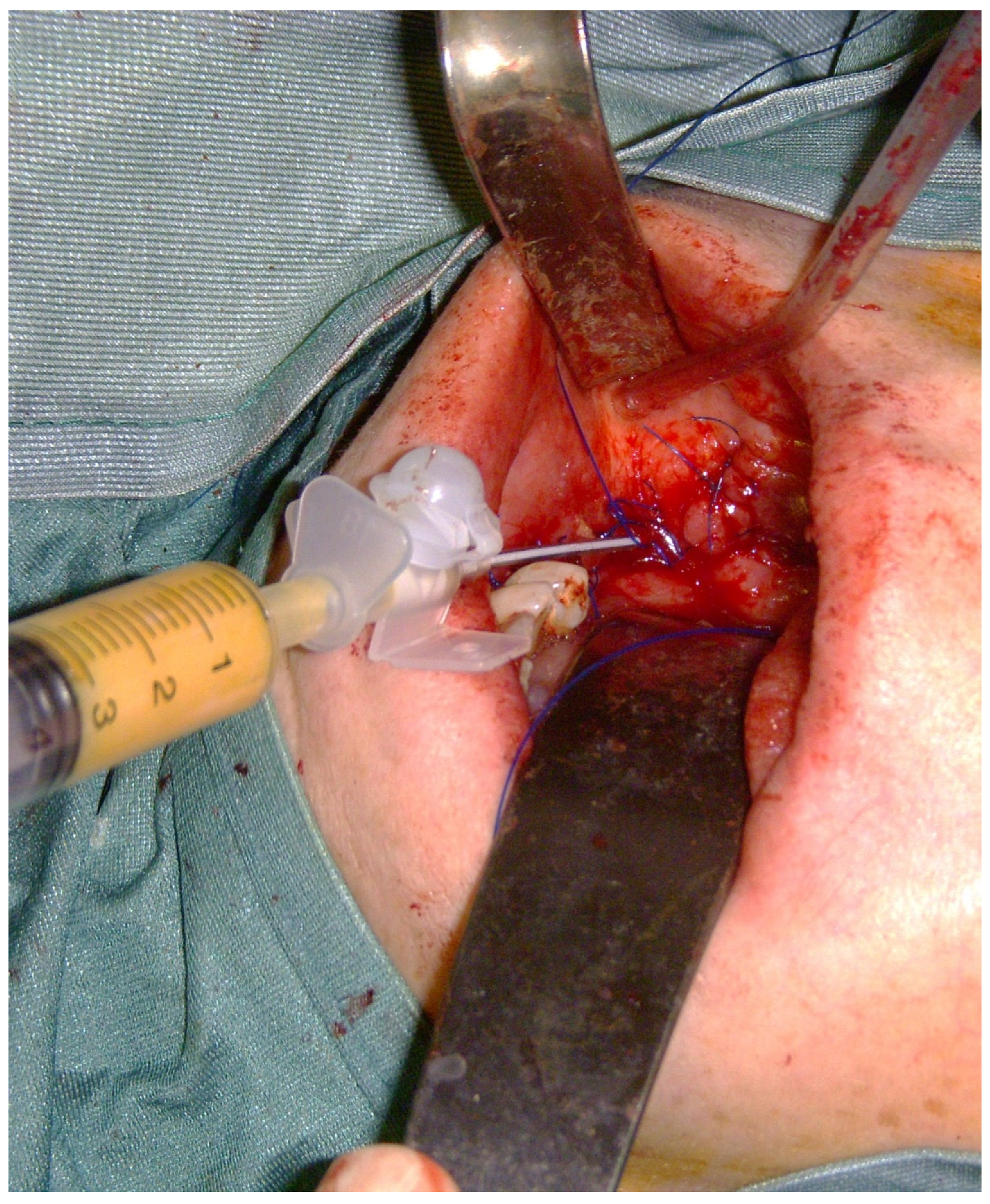 Applsci 11 11195 g003 550