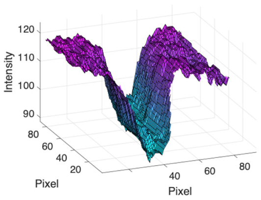 Applsci 11 11201 i006