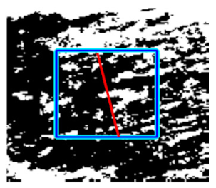 Applsci 11 11201 i024