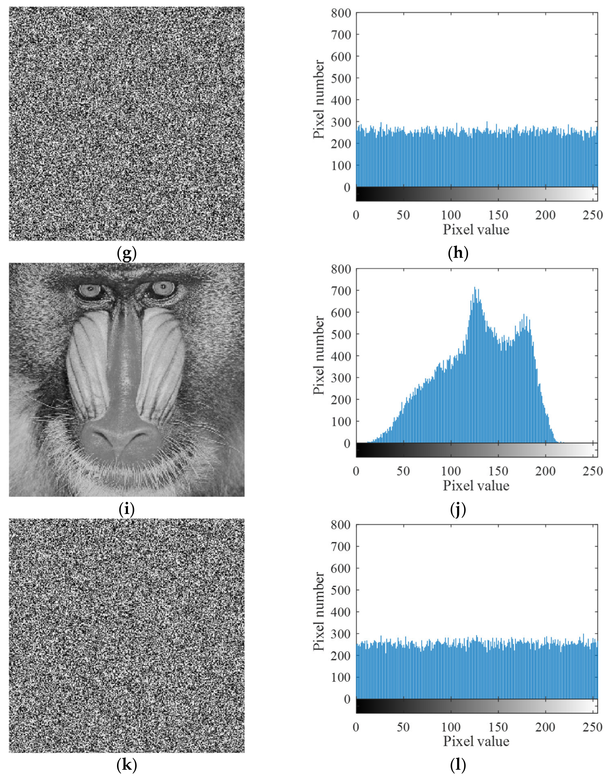 Applsci 11 11206 g008b