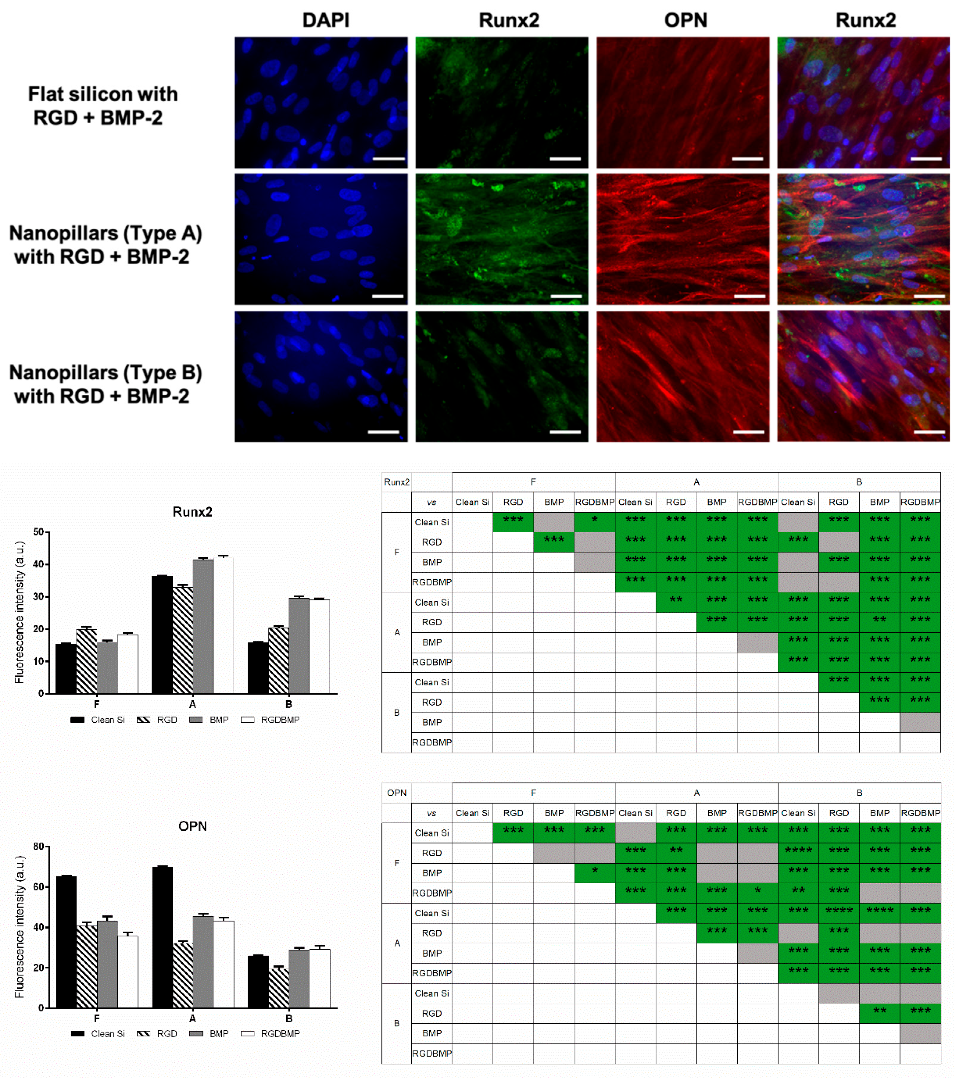 Applsci 11 11209 g004