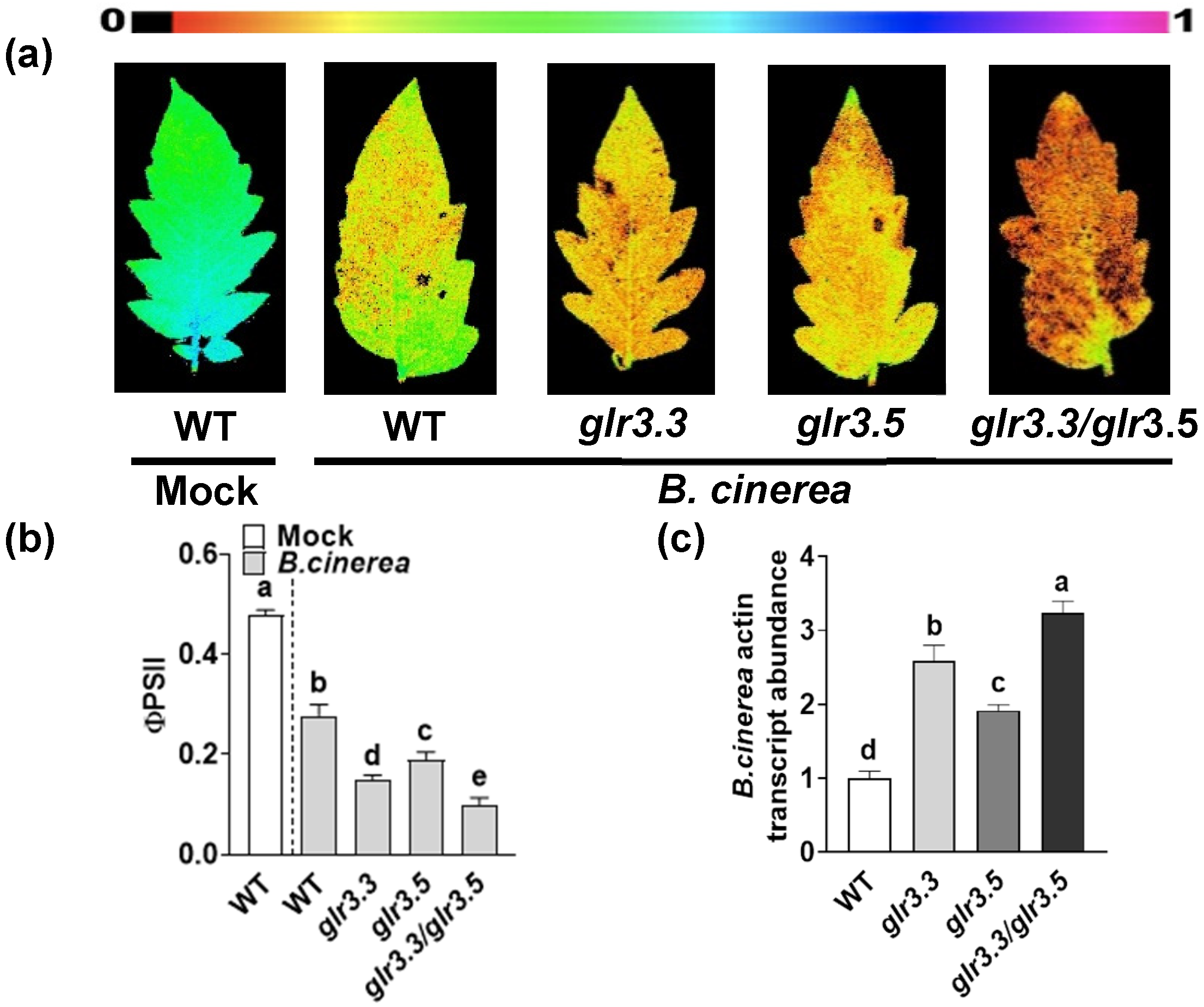 Applsci 11 11217 g003 550